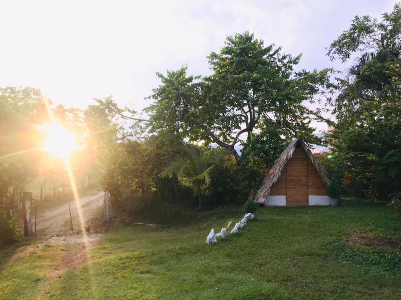 Finca Alto Bonito