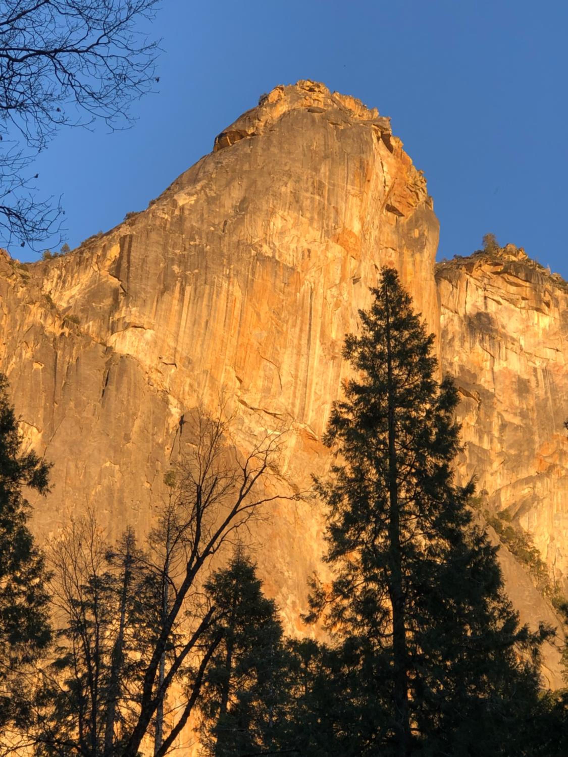 Bear Paw Cabin new construction near Yosemite view 3