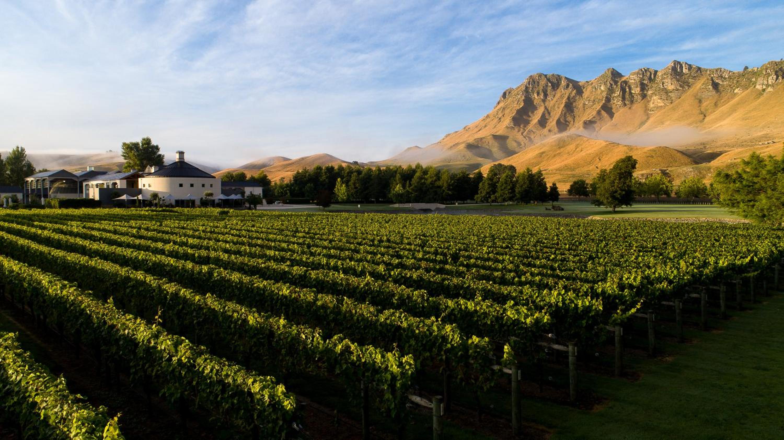 Craggy Range Luxury Vineyard Retreat