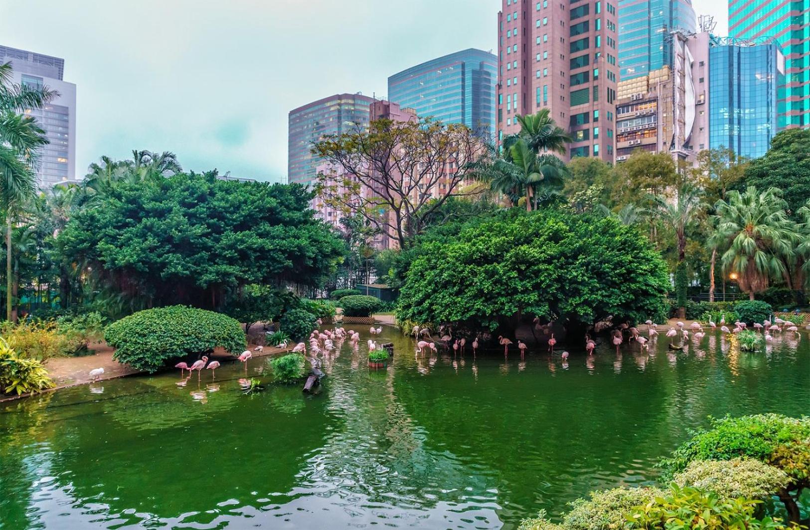 Eaton HK - Langham Hospitality Group