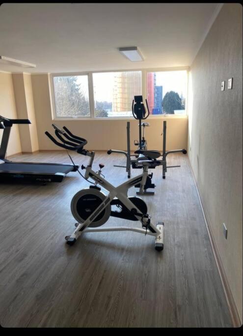 Acogedor Departamento estudio en centro de Chillán