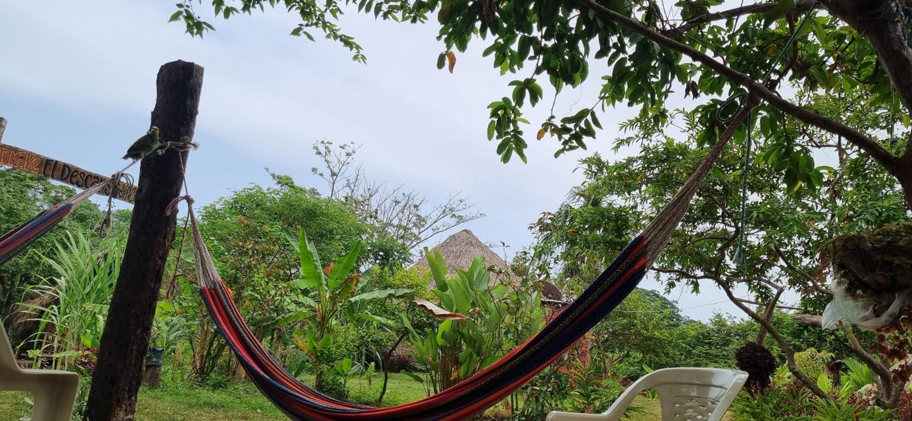 Photo 48