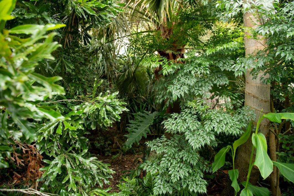 Delphi, Adelaide Hills Garden BnB