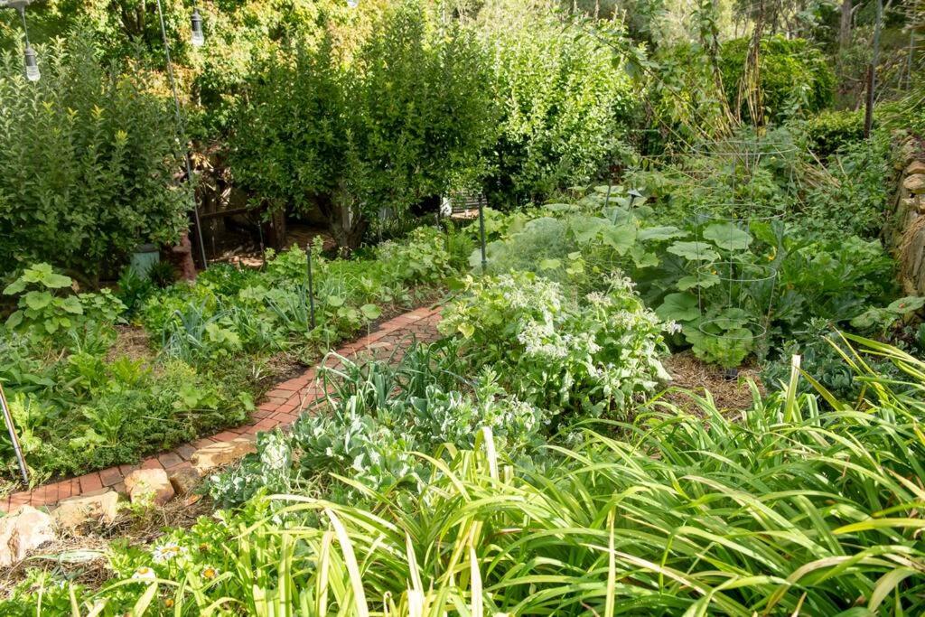 Delphi, Adelaide Hills Garden BnB