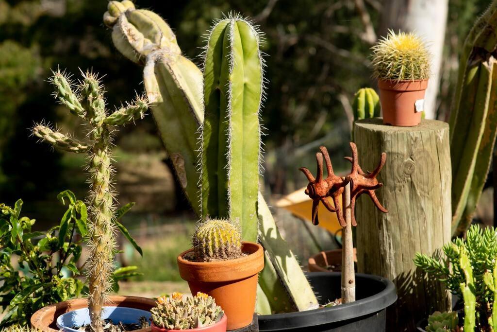 Delphi, Adelaide Hills Garden BnB