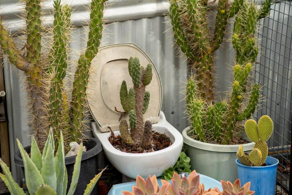 Delphi, Adelaide Hills Garden BnB