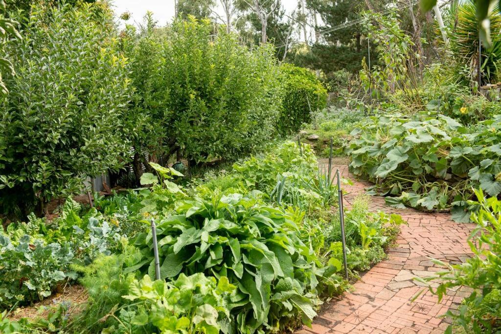 Delphi, Adelaide Hills Garden BnB