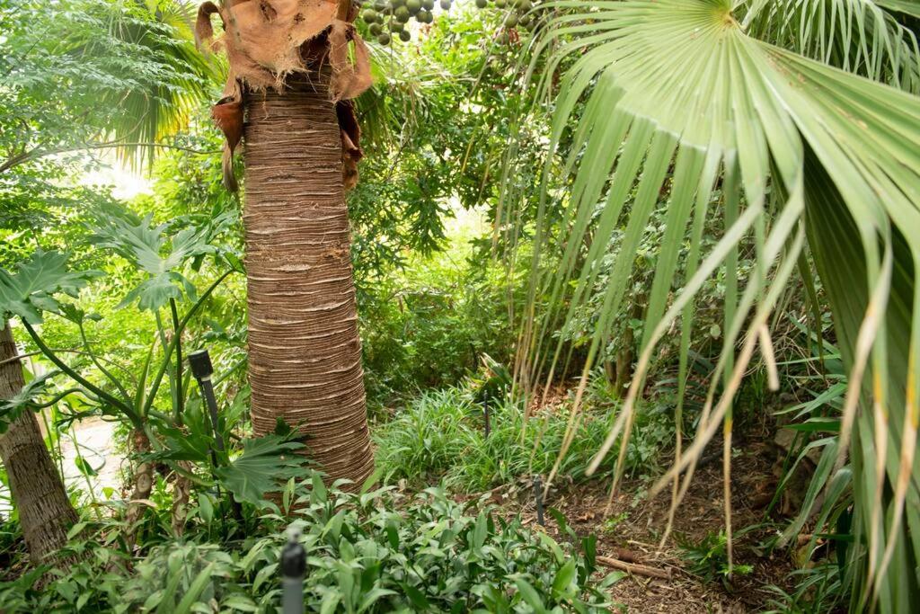 Delphi, Adelaide Hills Garden BnB