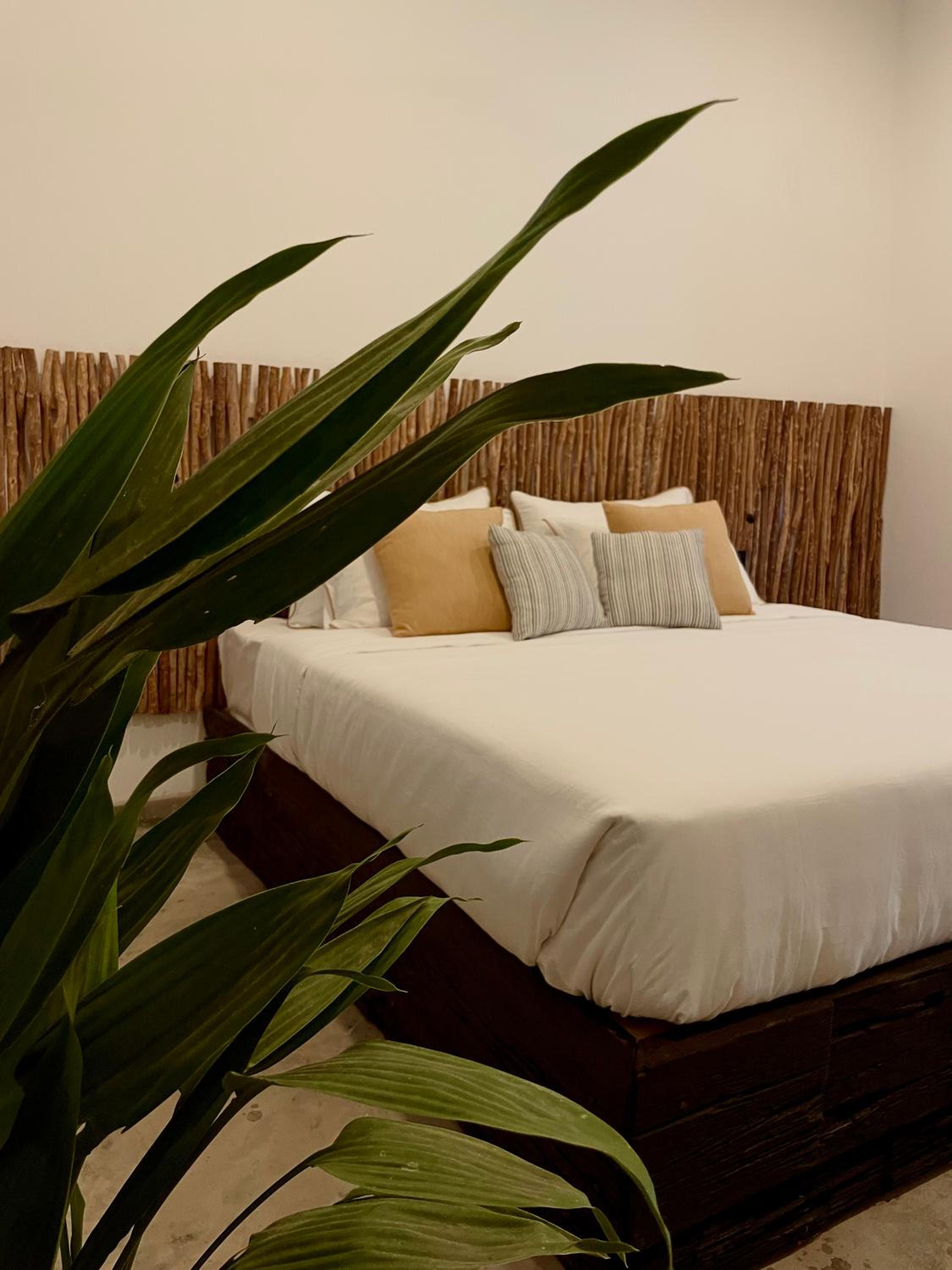 Banana Bunks Mirissa