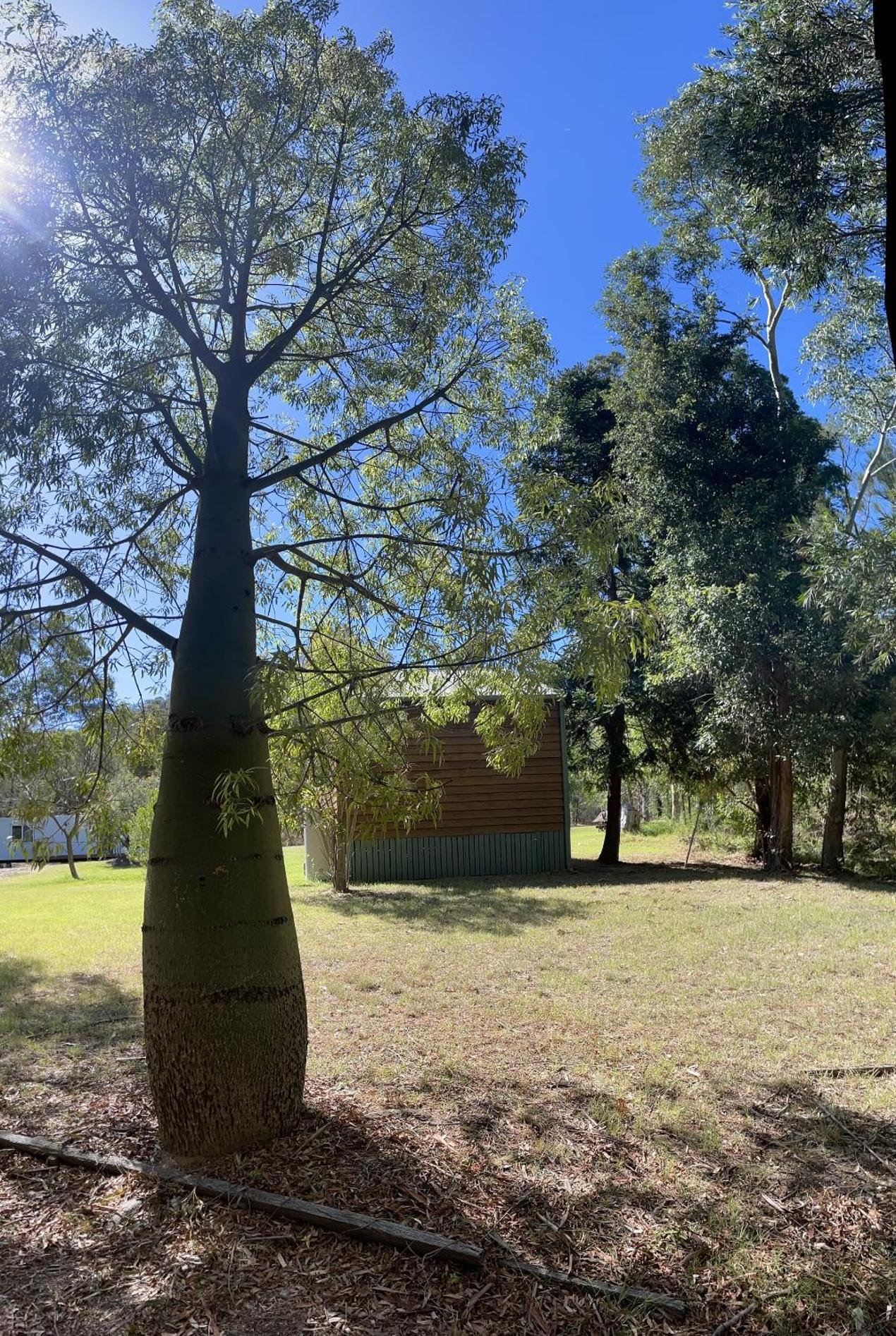 Sandy Hollow Tourist Retreat