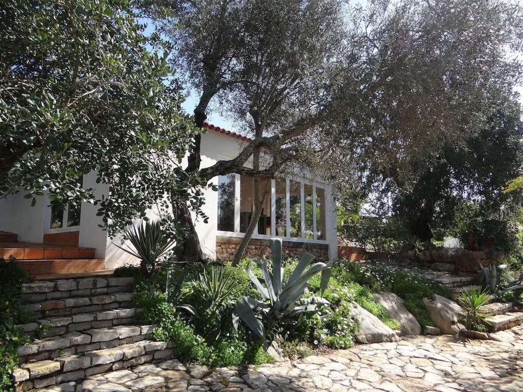 Villa Horta do Limão 8-10 people 4 km Ria Formosa and Fuseta beach view 4