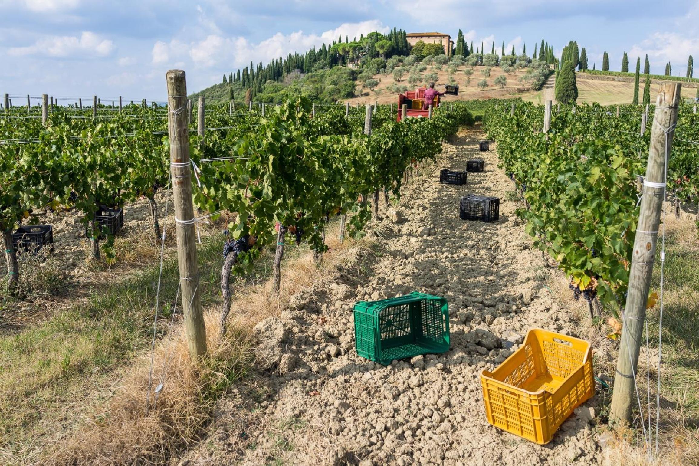 Argiano Dimore Wine Relais