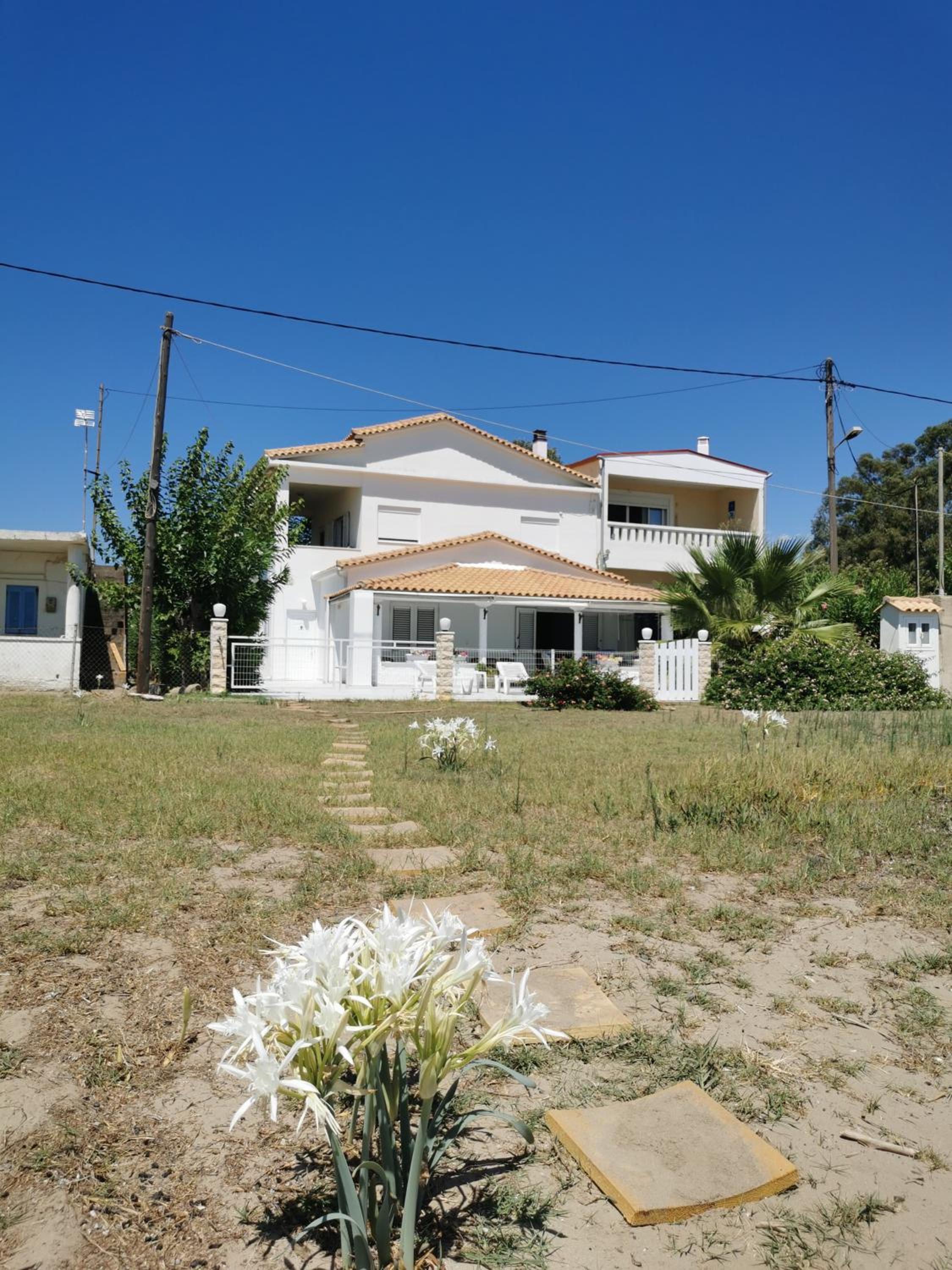 Photo 20