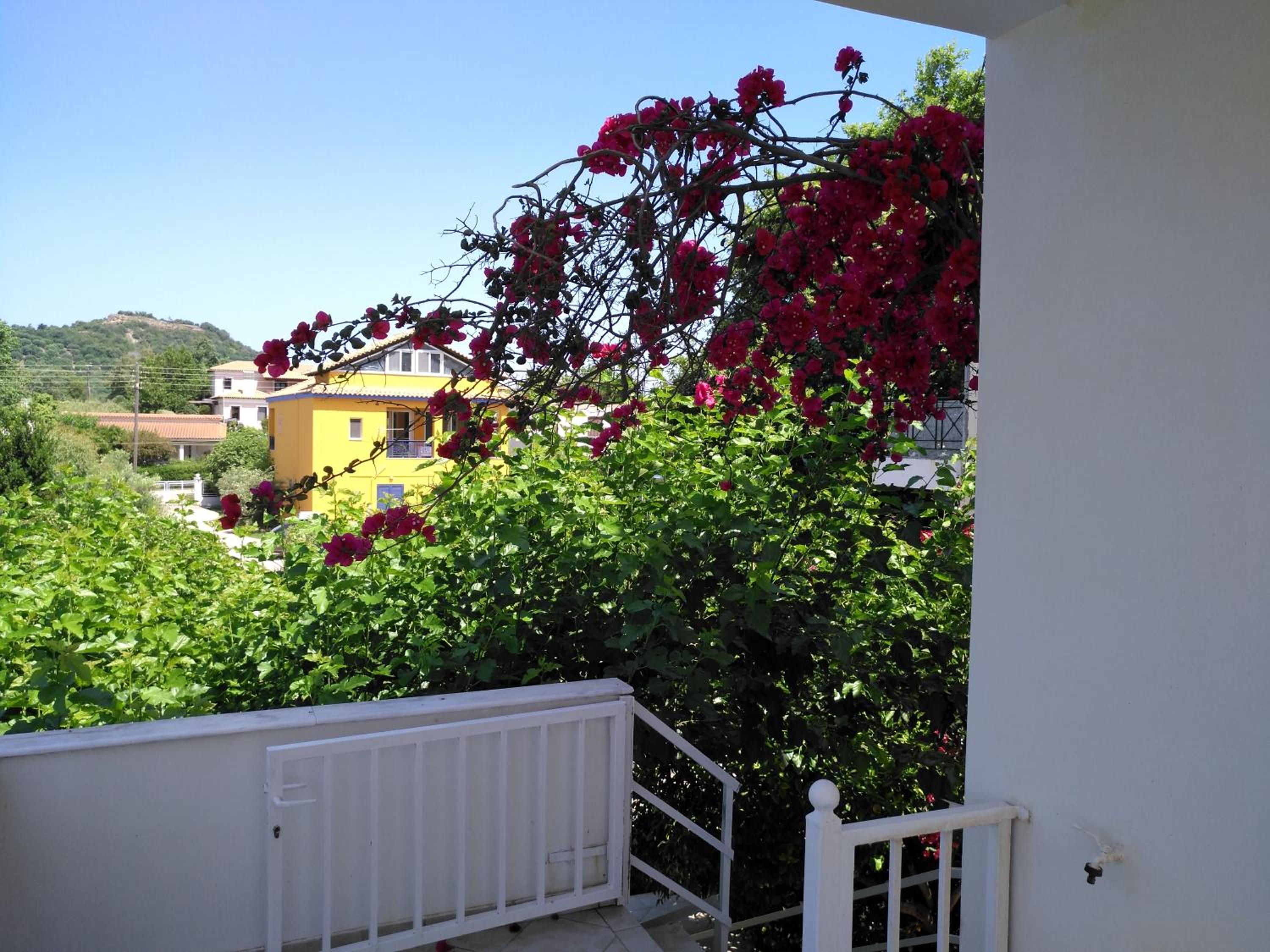 Photo 22