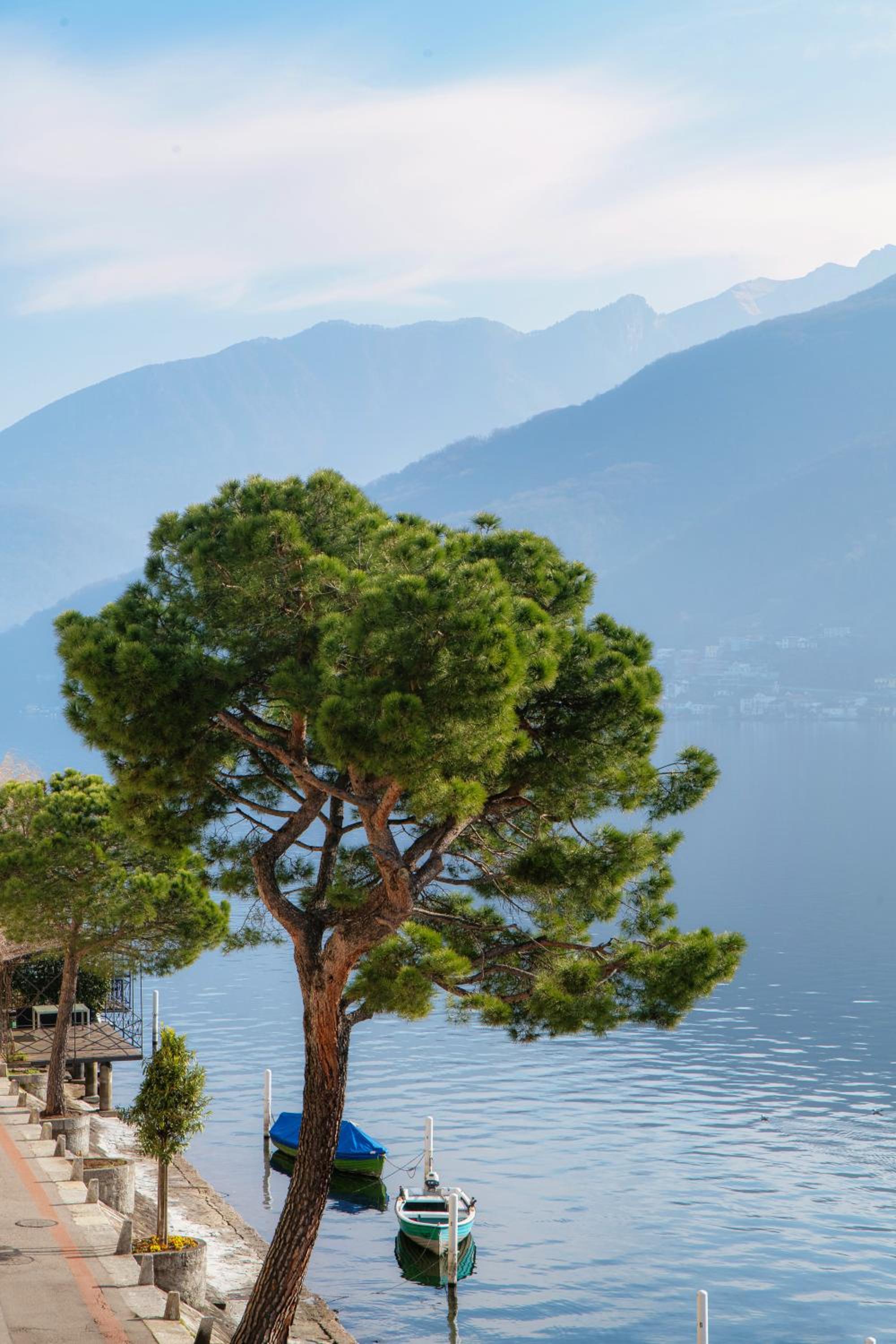 SIN4 Apartments by Quokka 360 - overlooking the lake - FAI heritage in Morcote