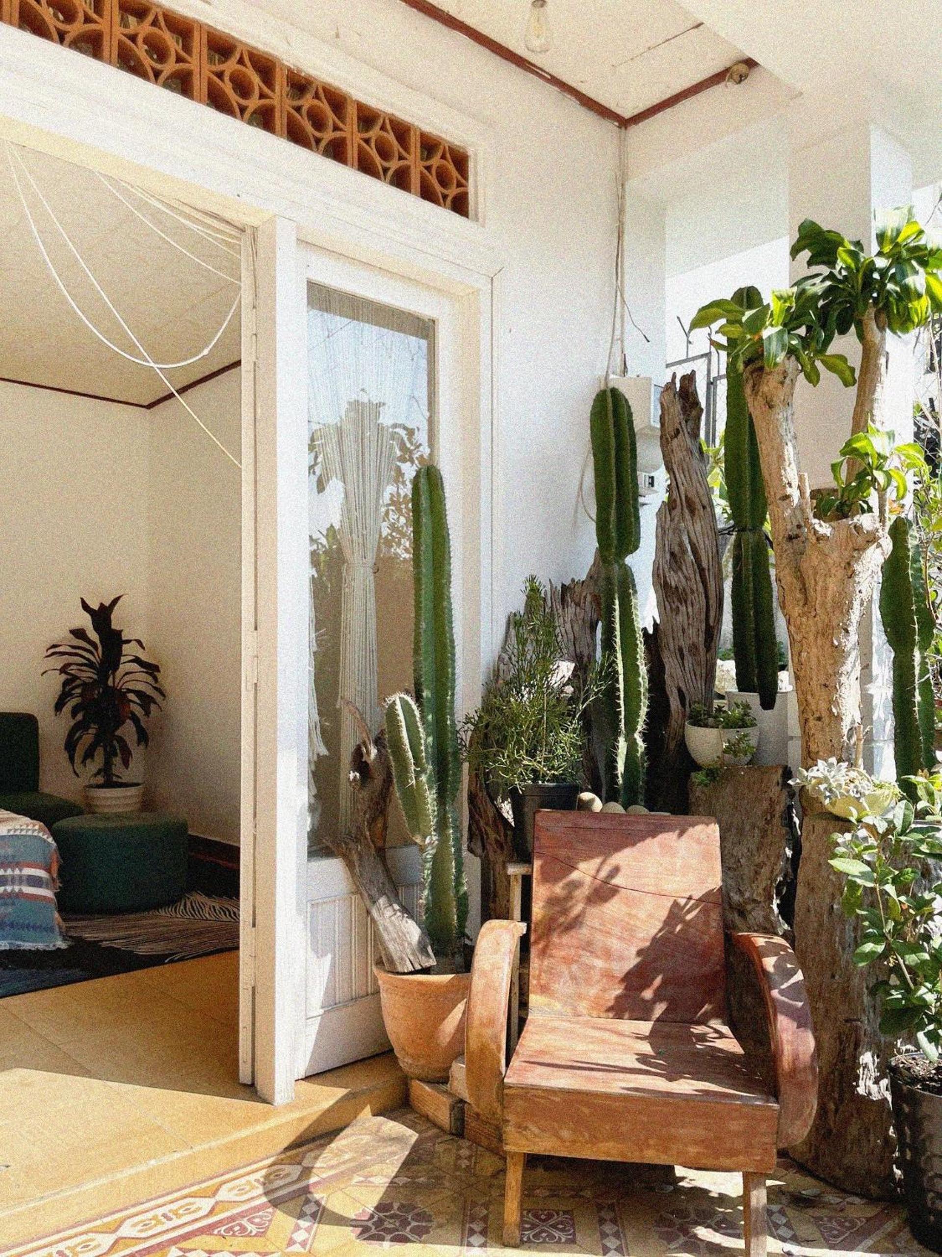 Hạt Dẻ Homestay Đà Lạt view 2