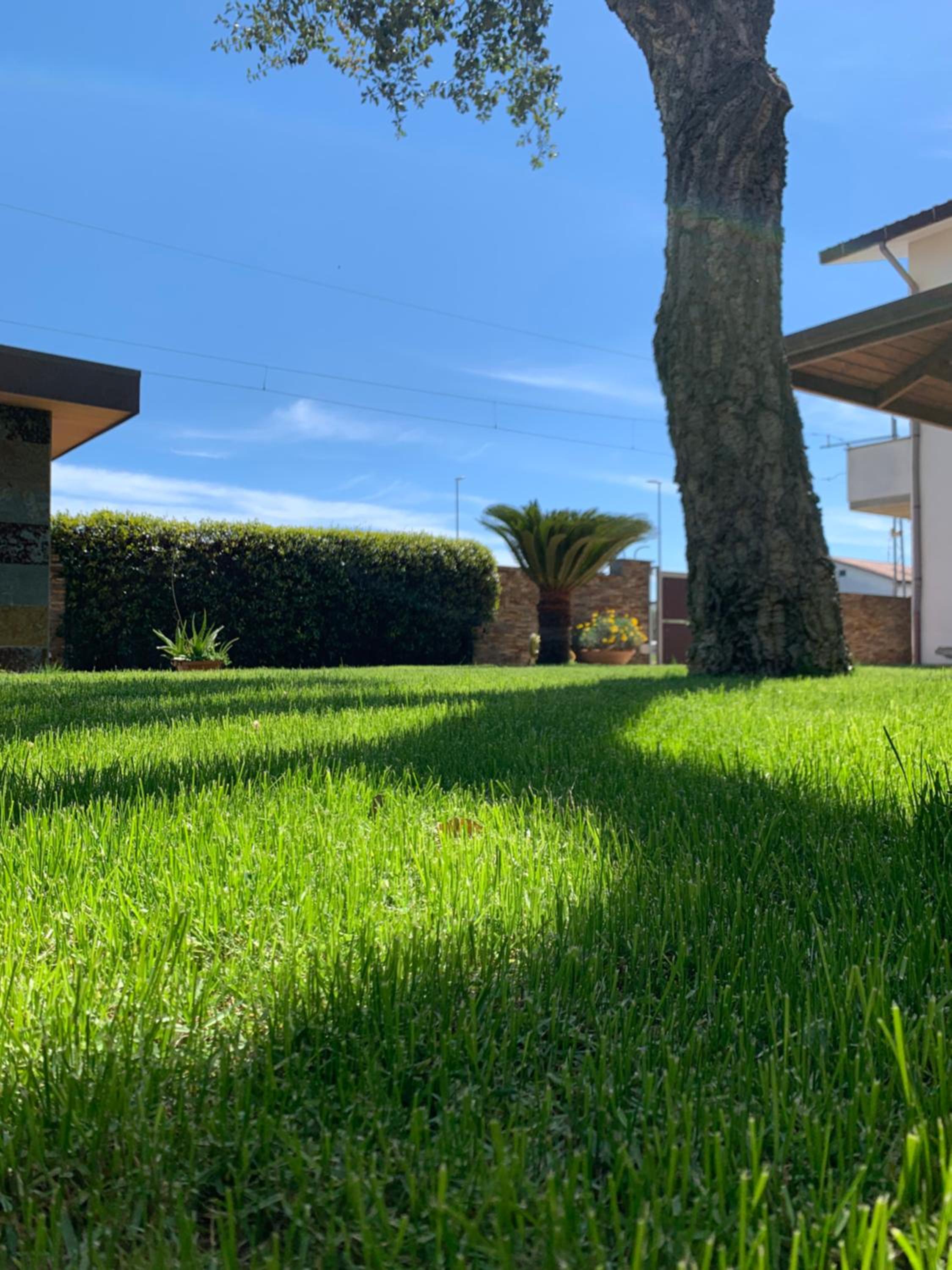 Casa Olivastri