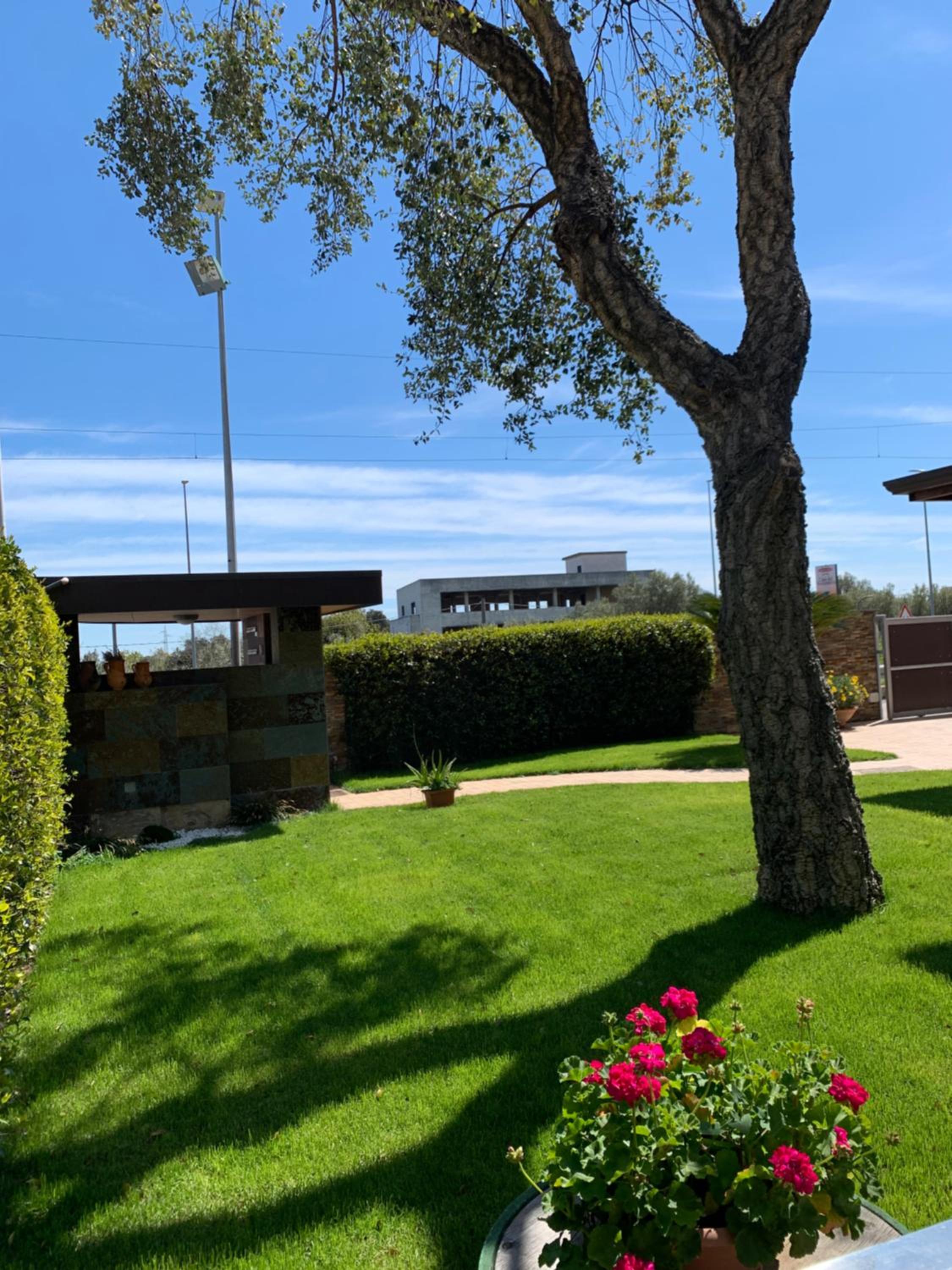 Casa Olivastri