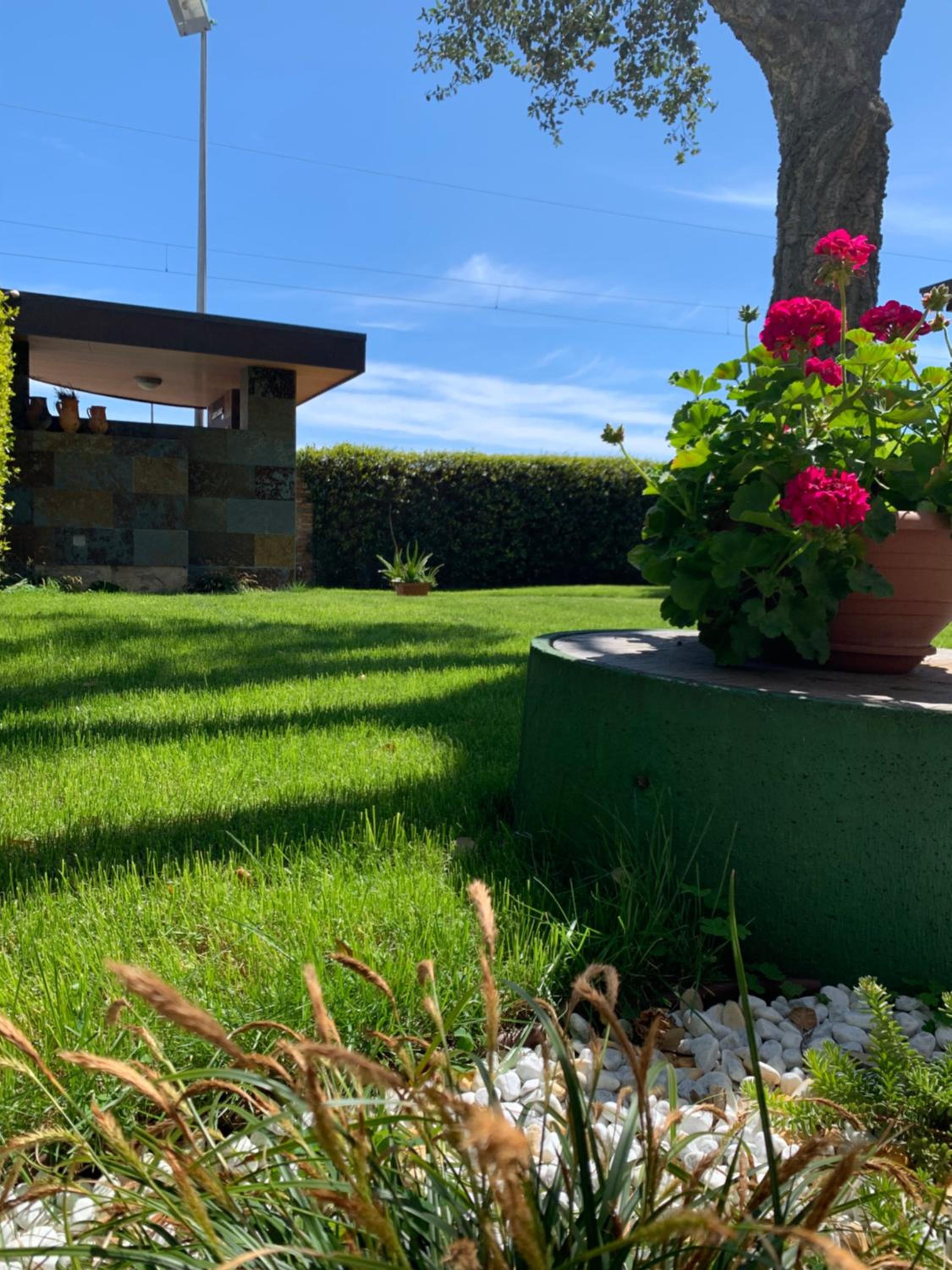 Casa Olivastri