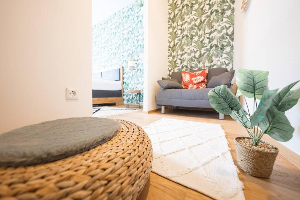 BOHO Dream Apartment