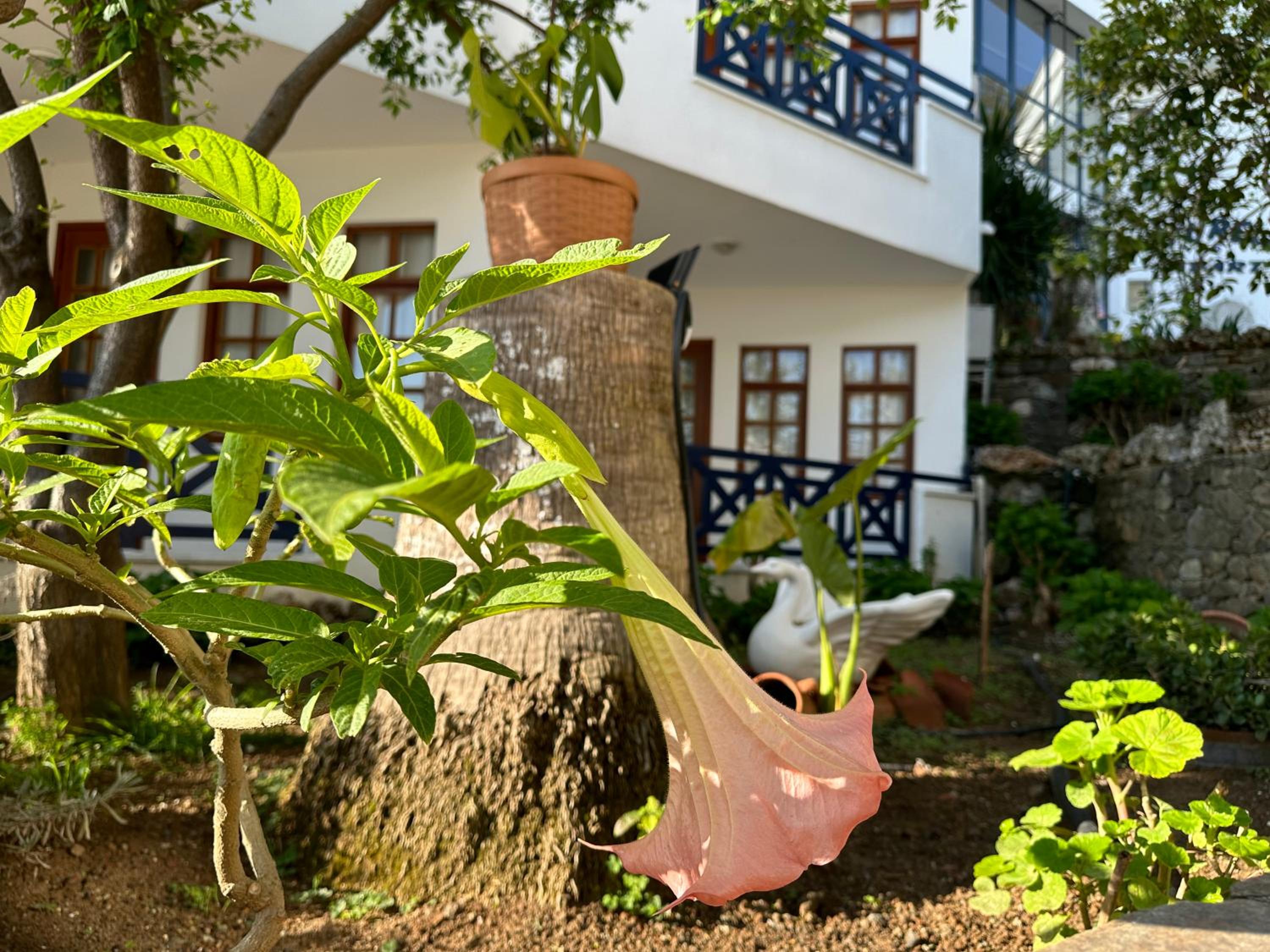 NATURELLA APART HOTEL - Image 52