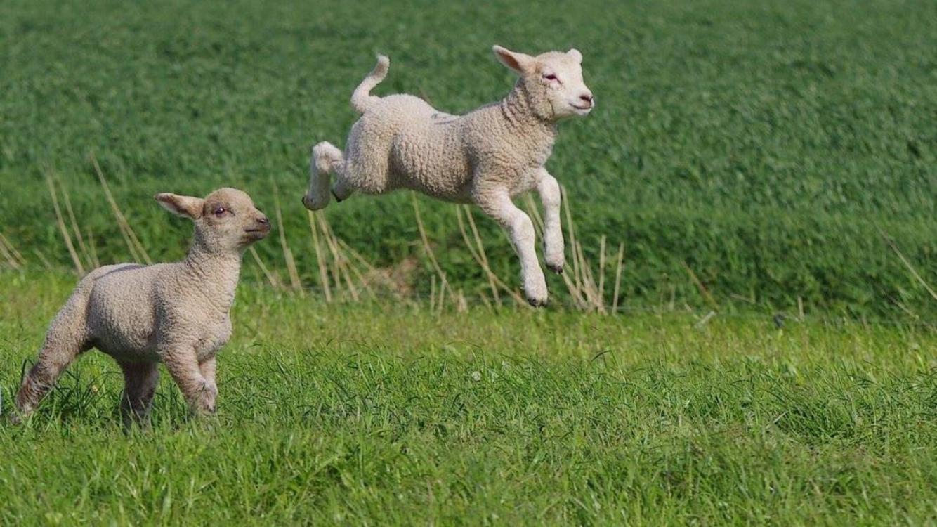 Ferienwohnungen Stips view 2
