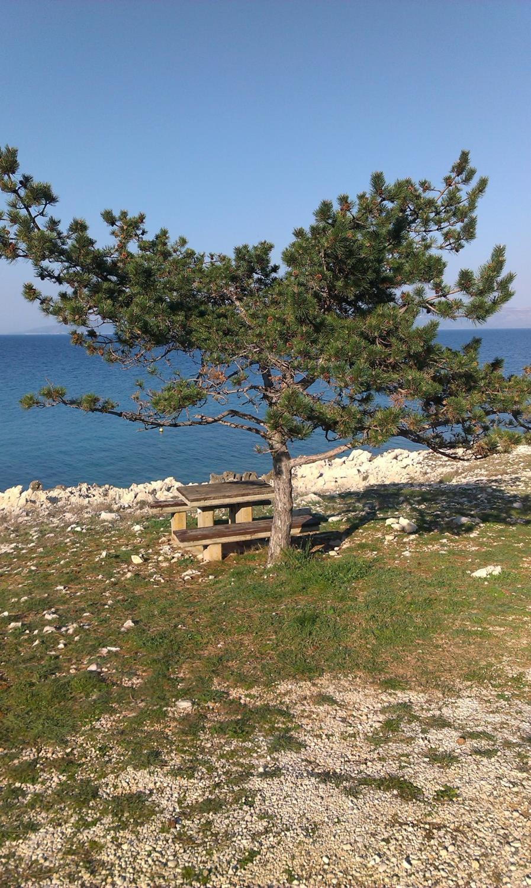 Photo 41