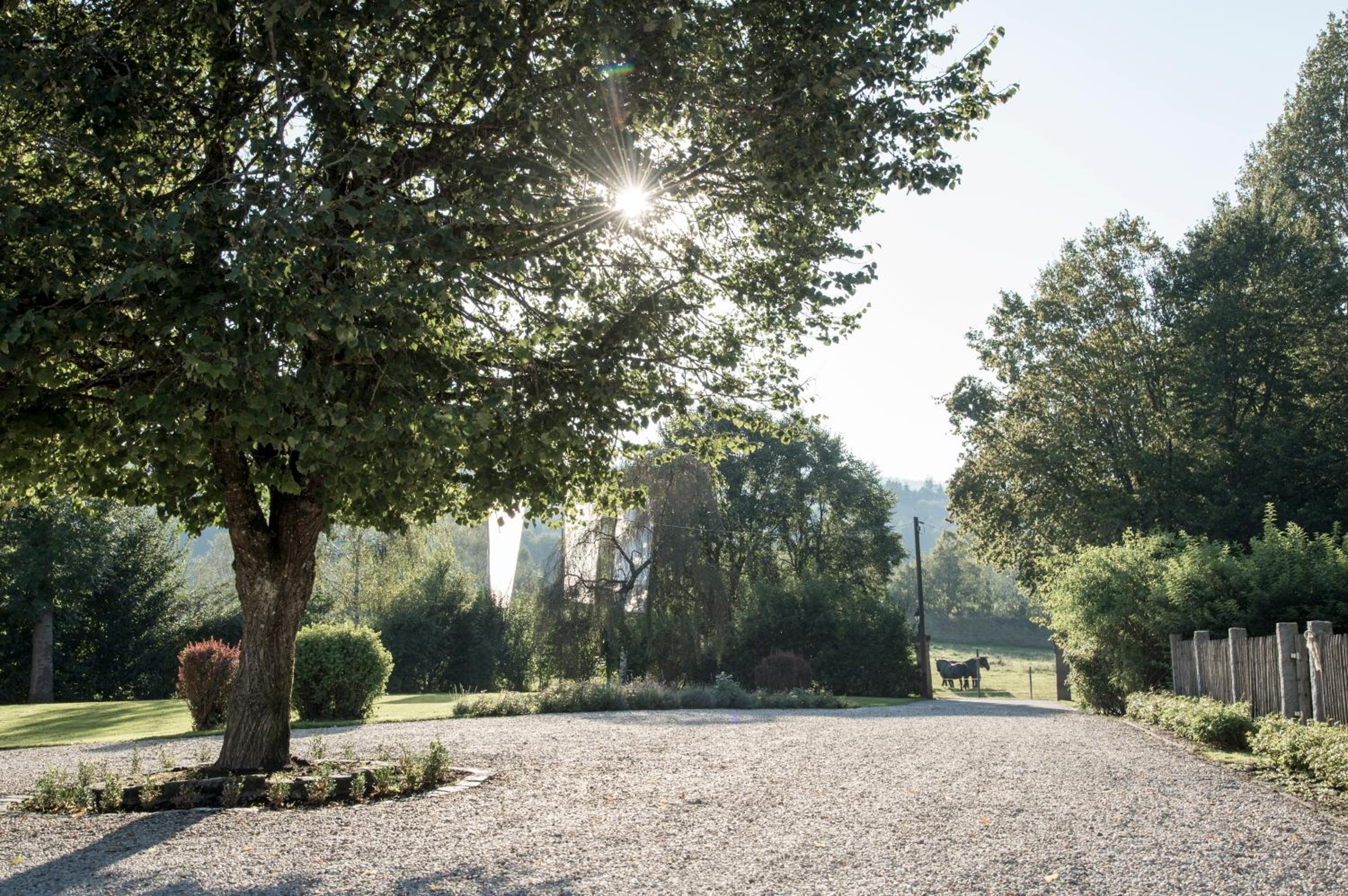 Forstgut - Premium Waldchalets und Lodge Suiten