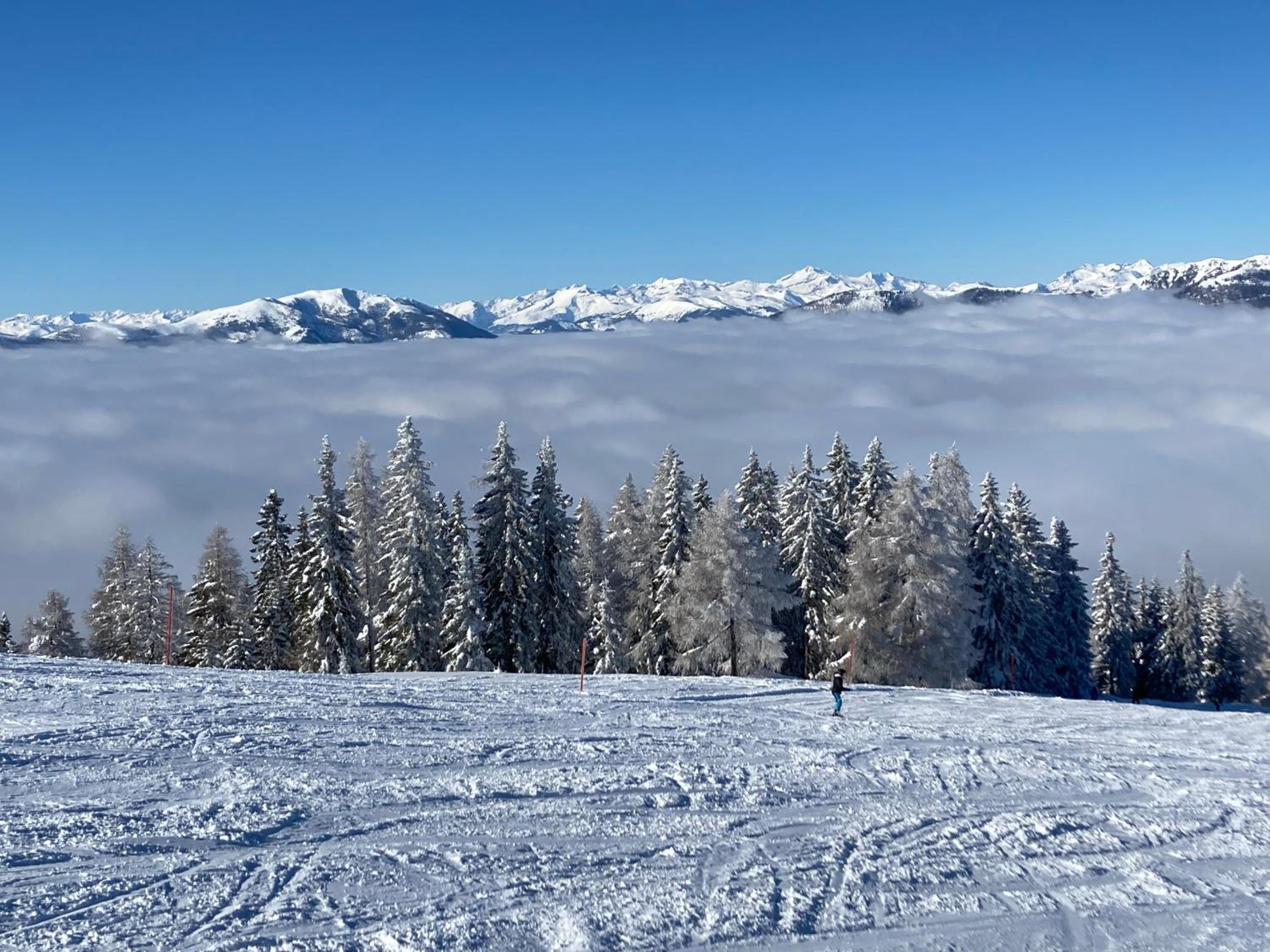 Paradies