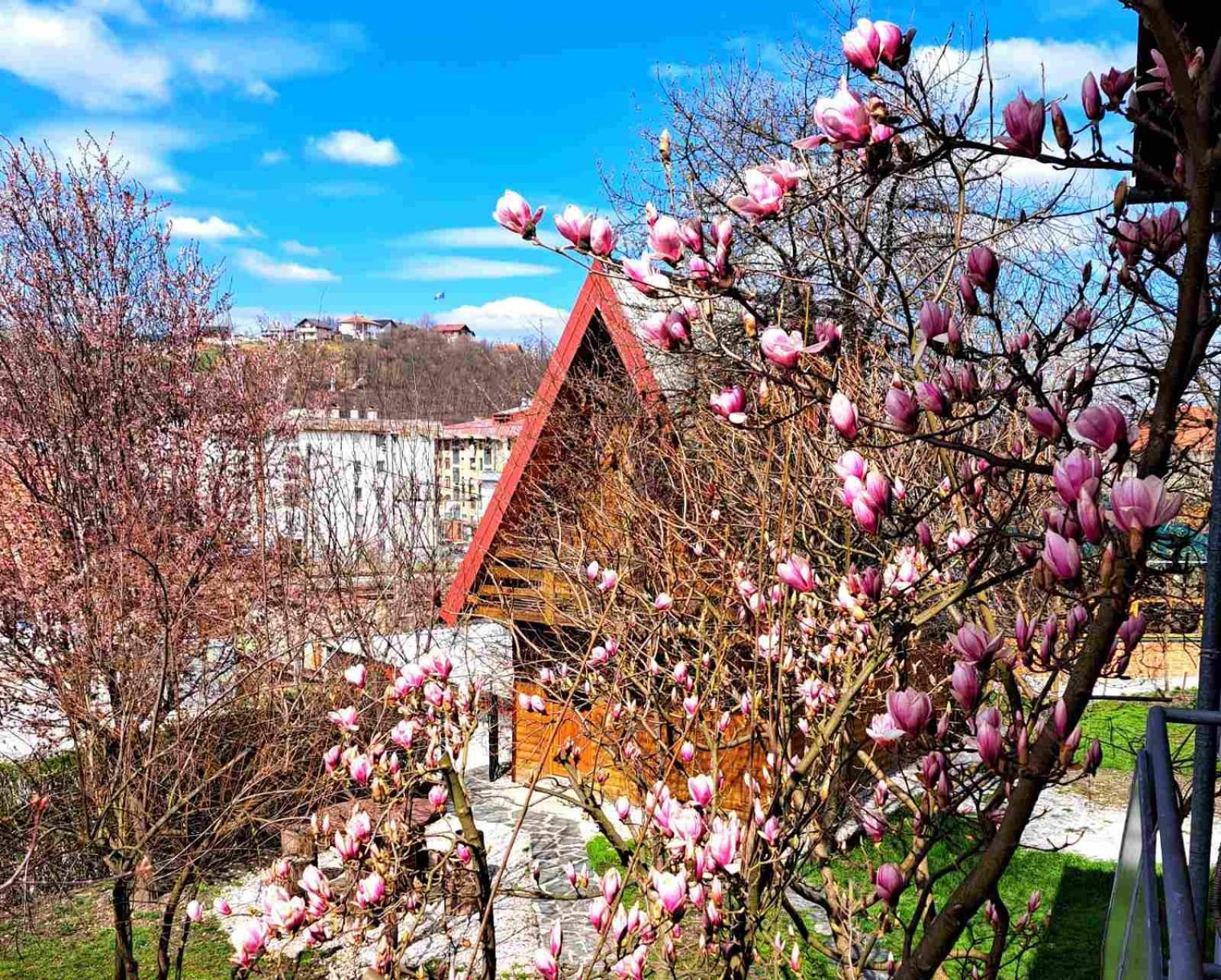 Sarajevo Chalet
