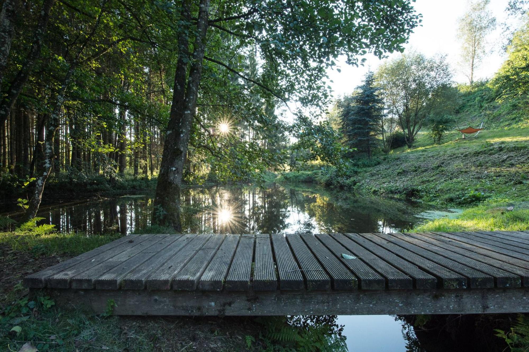 Forstgut - Premium Waldchalets und Lodge Suiten