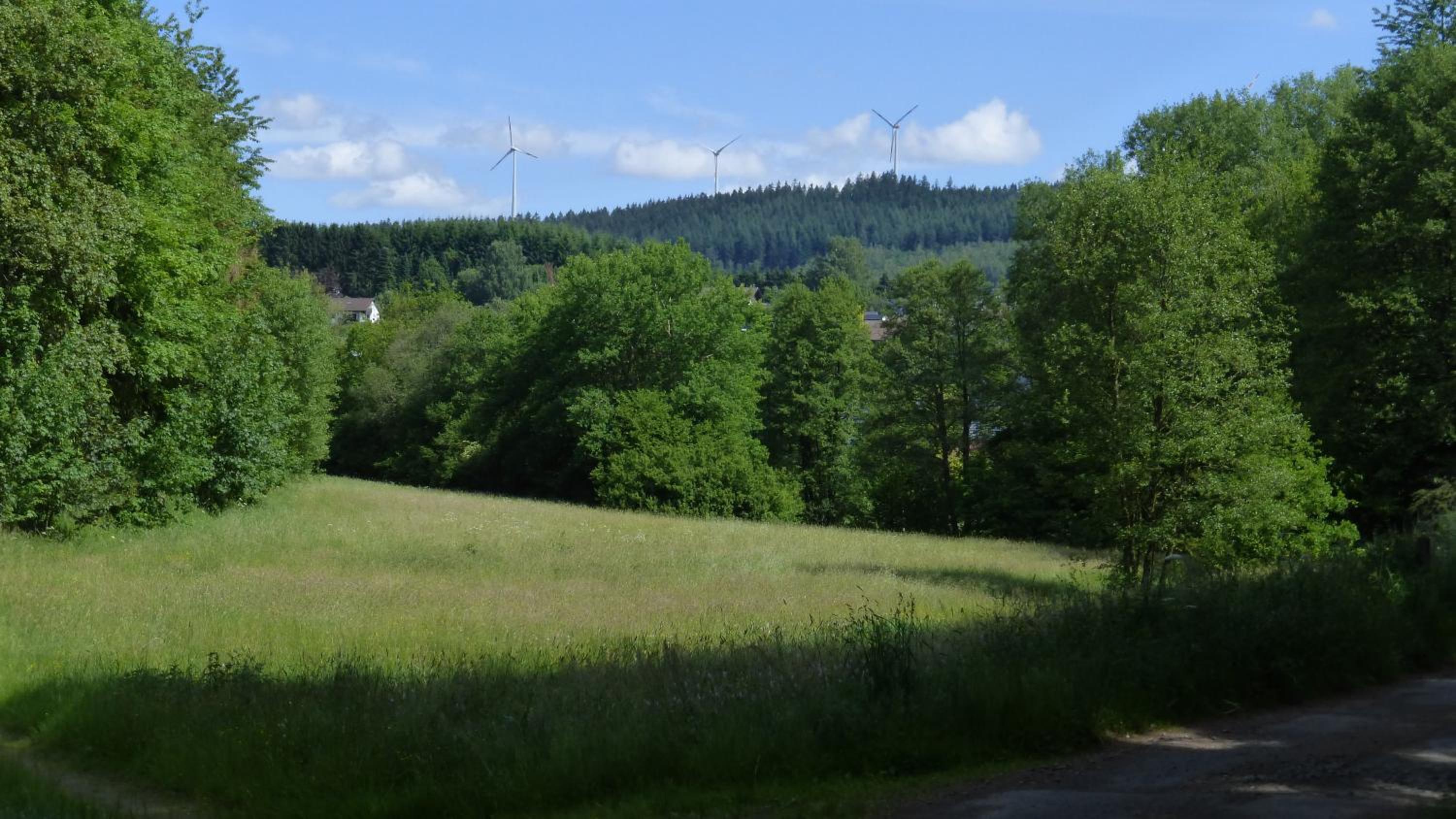 Photo 46