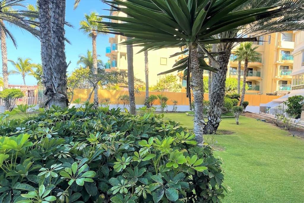 Beach Apartment La Lajilla