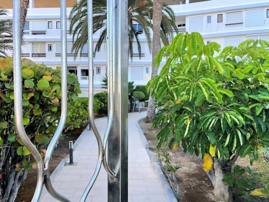 Beach Apartment La Lajilla