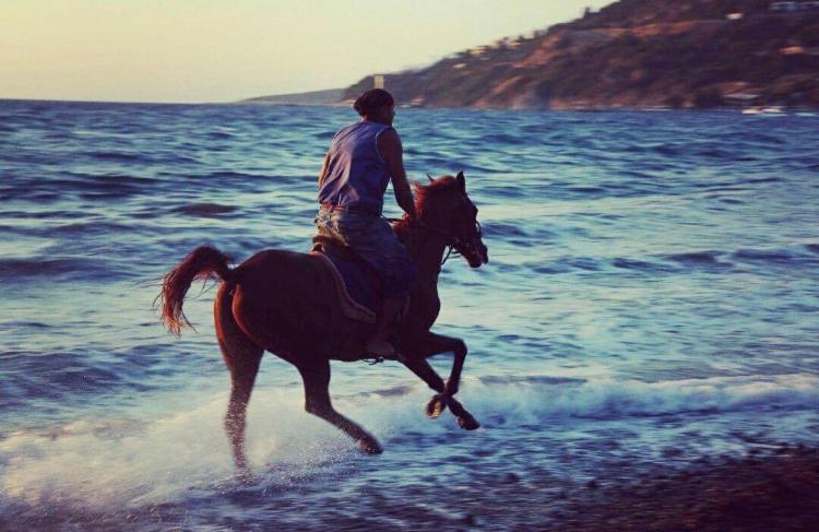 Equestrian and Beach Club view 4