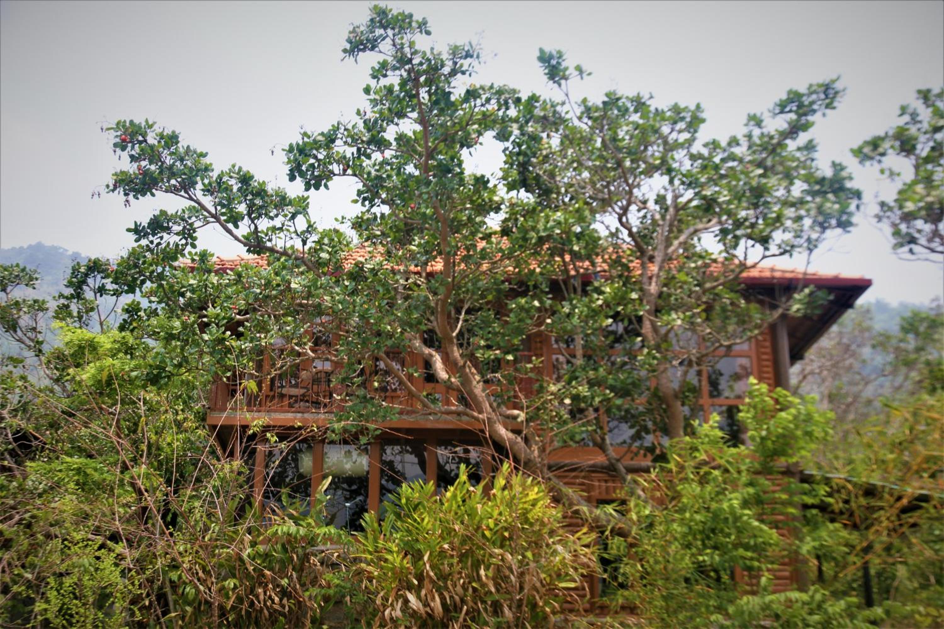 Zen Cafe Countryside Retreat view 2