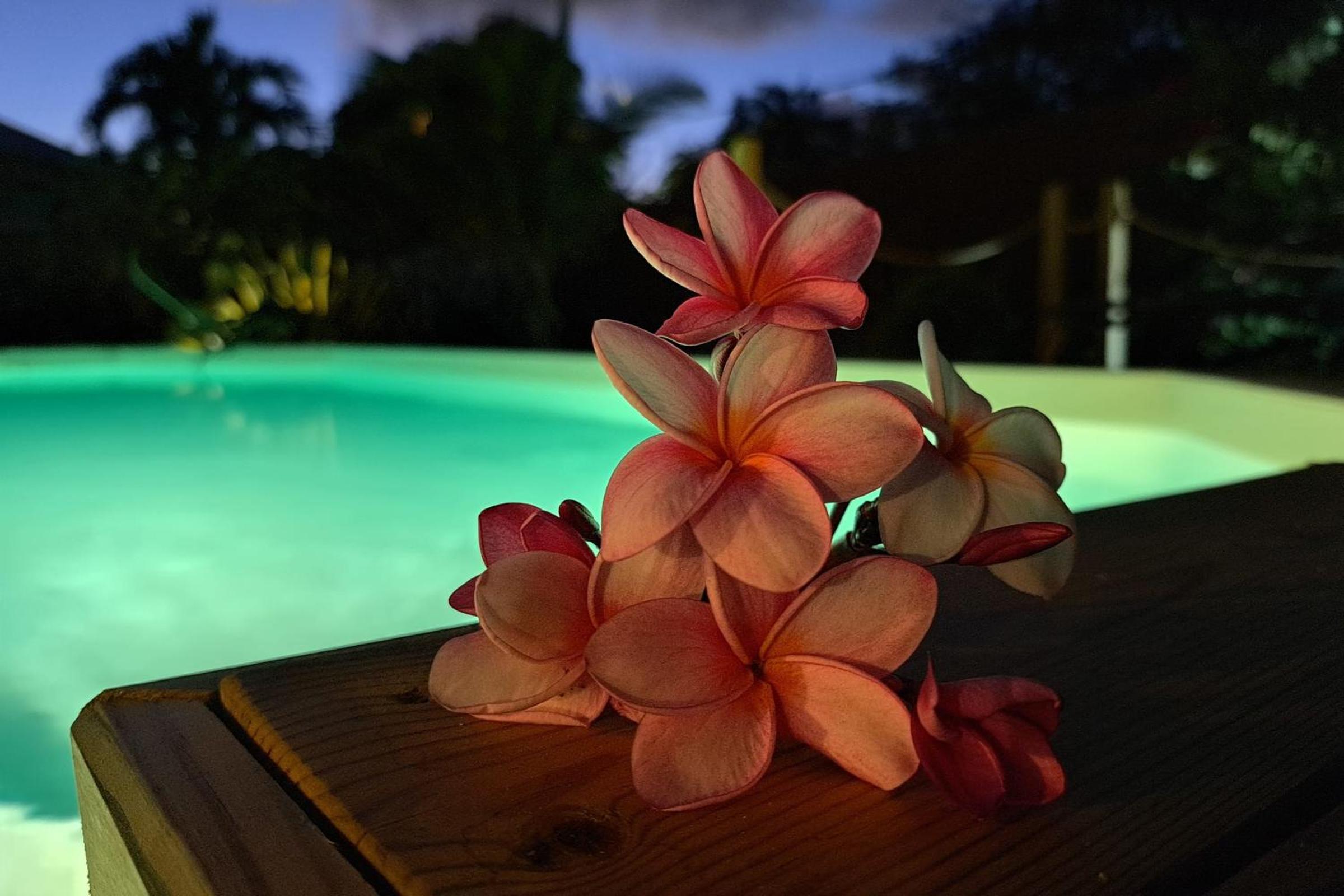Villa La Plumeria view 5