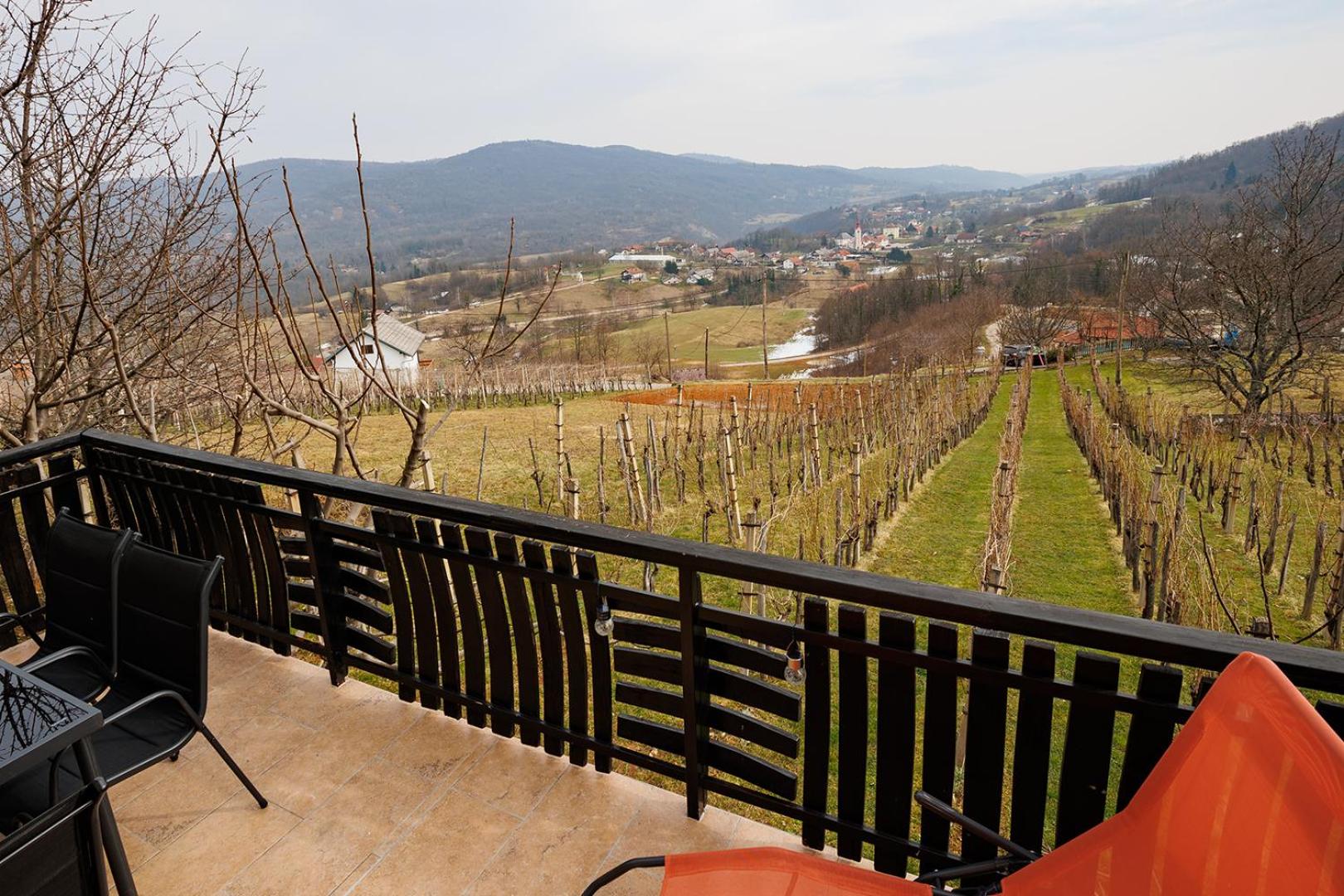 Vineyard cottage Cvitkovič view 4