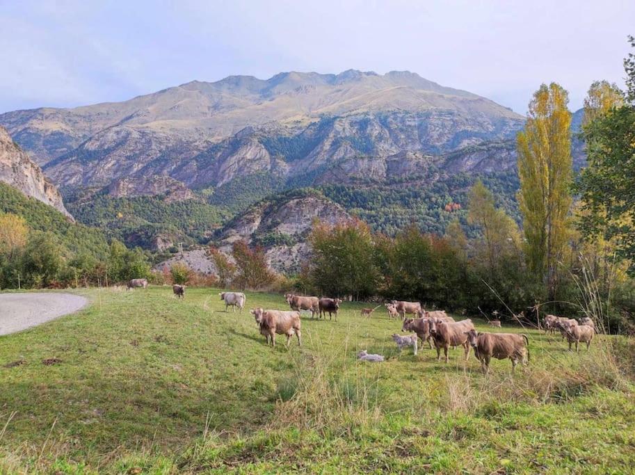 El Refugio de Tena - tucasaenlospirineos