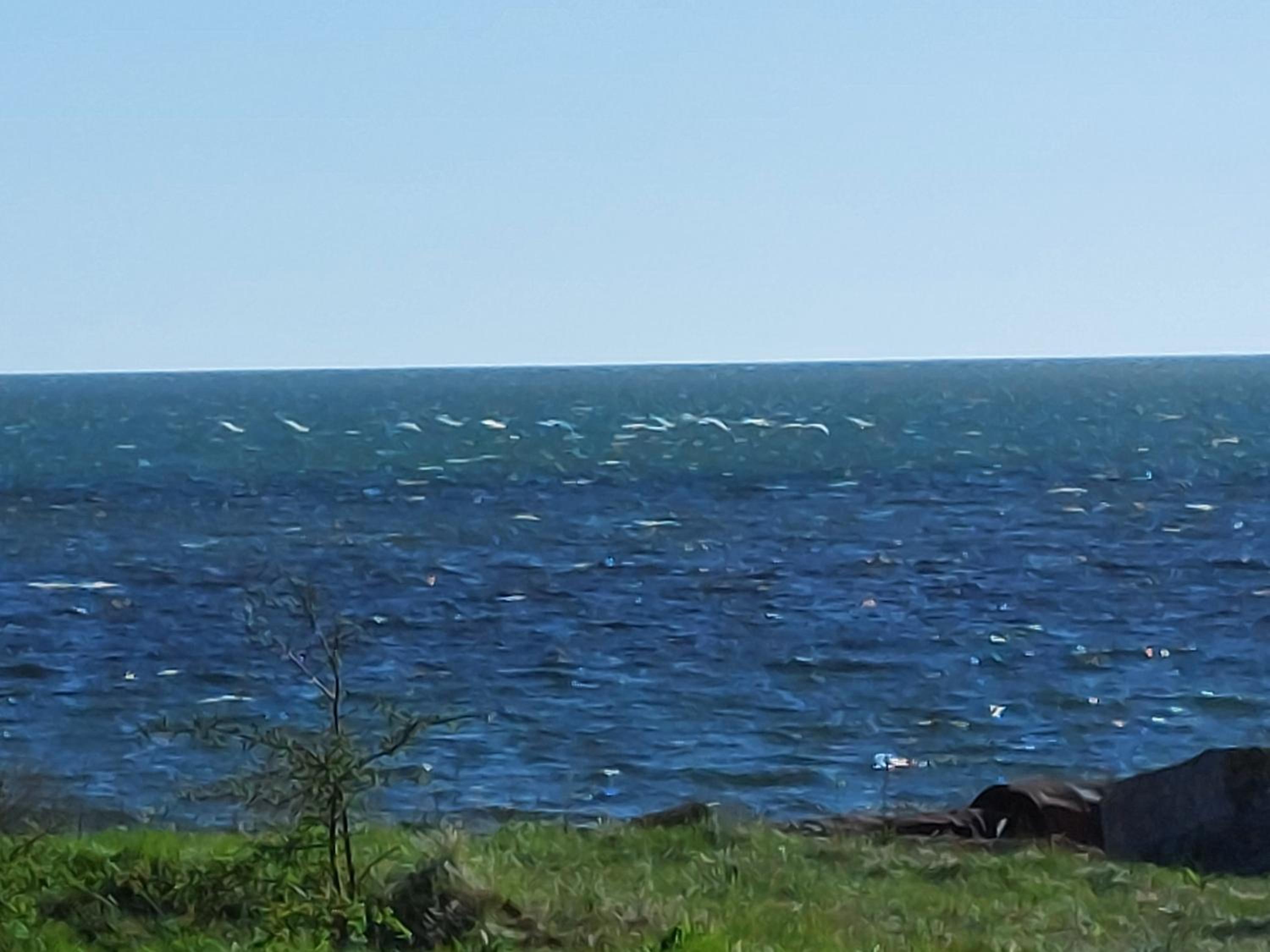 Ohessaare mereäärne Camping