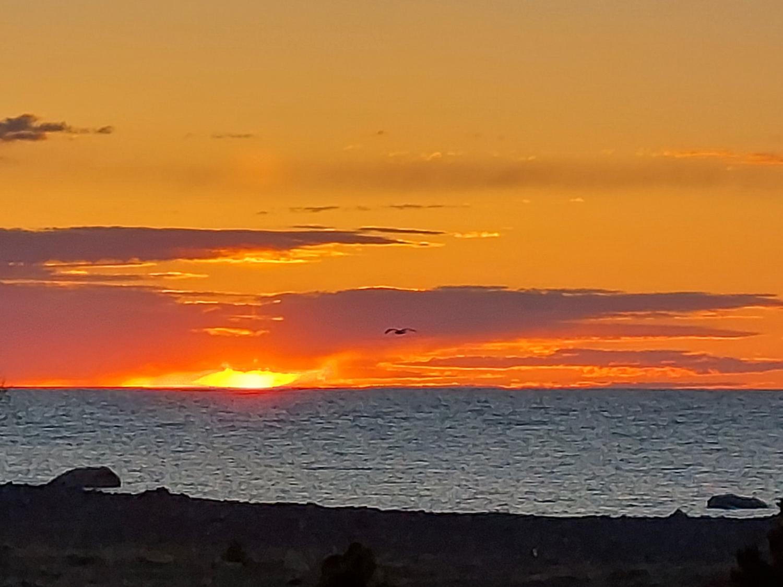 Ohessaare mereäärne Camping