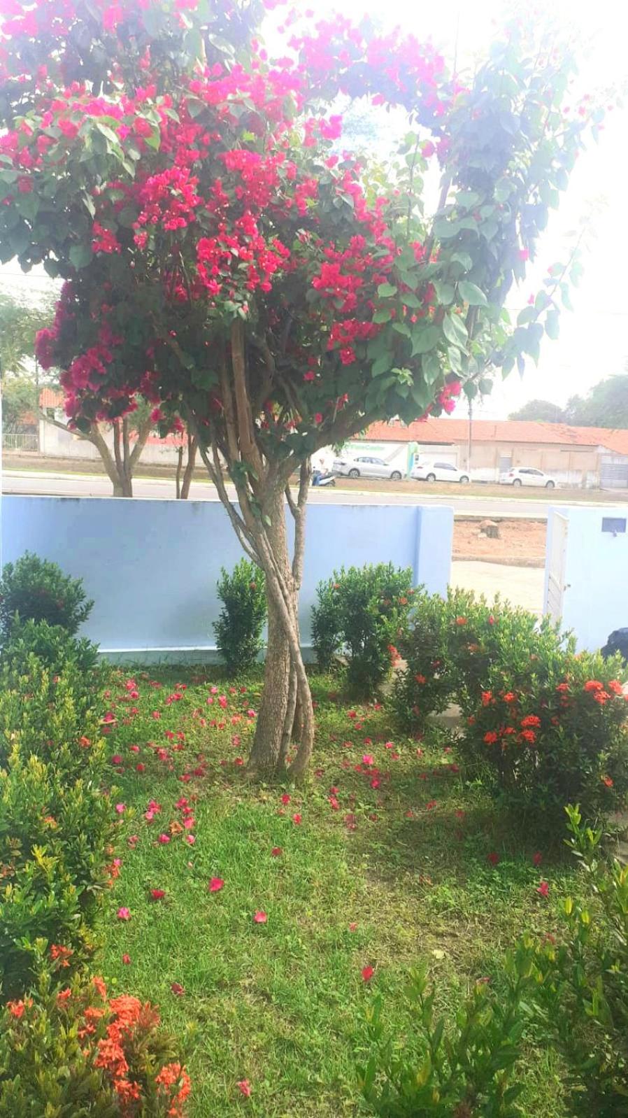 Casa Recanto dos Cangaceiros