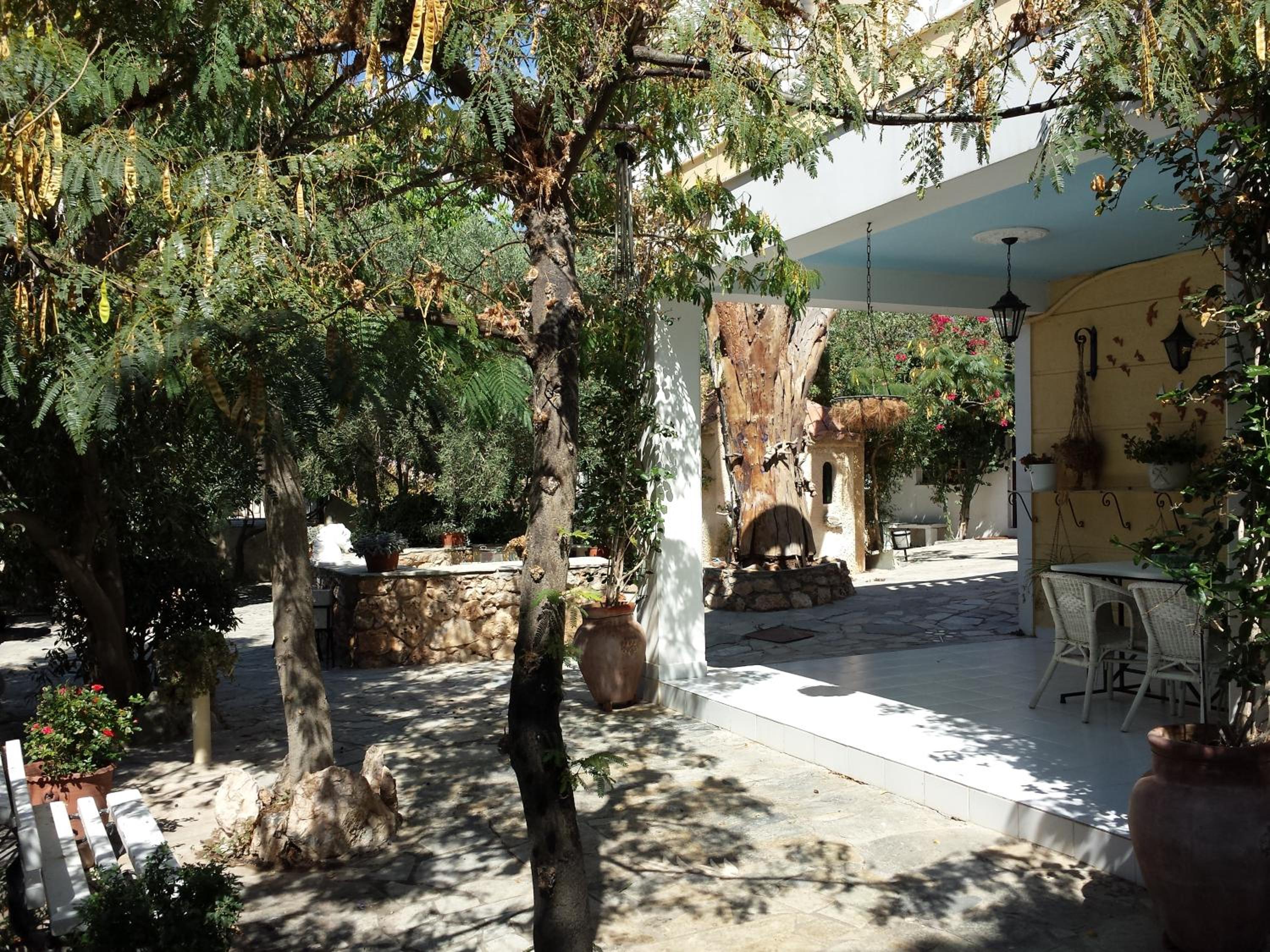 Photo 25