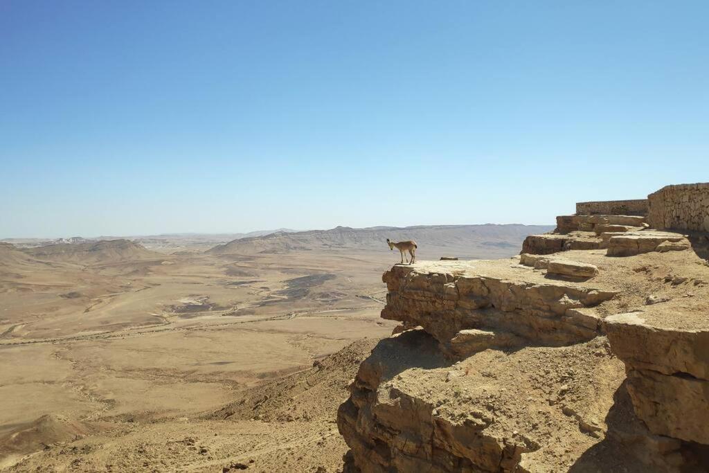 Desert Breeze, photo 20