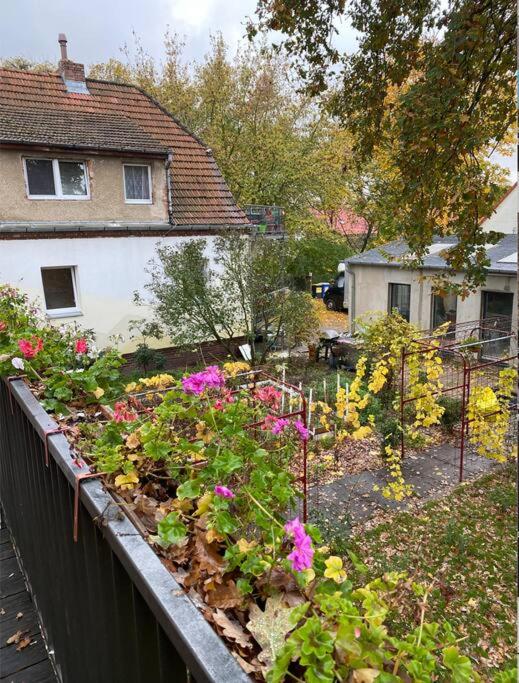 Nice and comfortable studio in Pankow