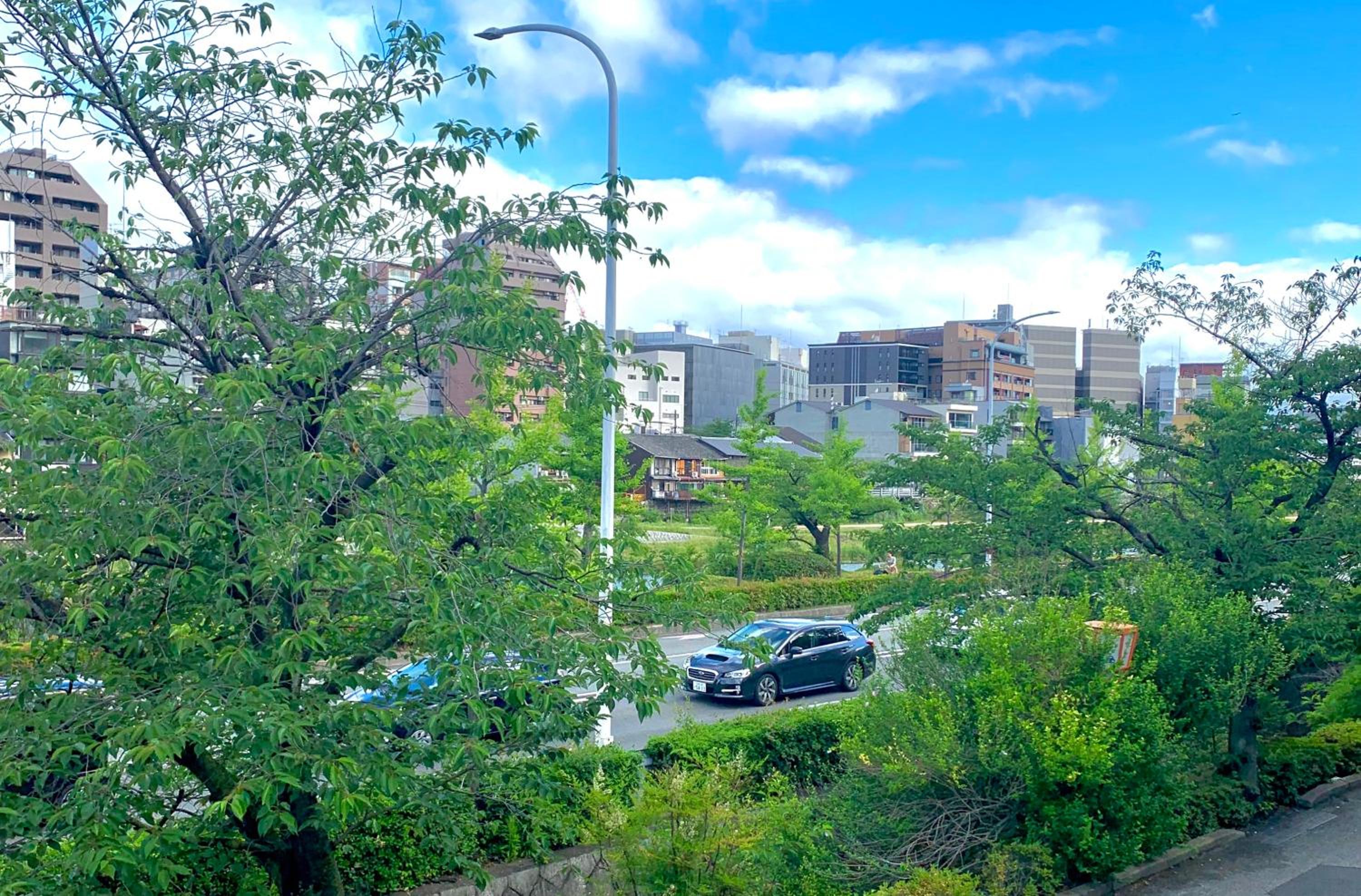 Sakura Riverview Gion