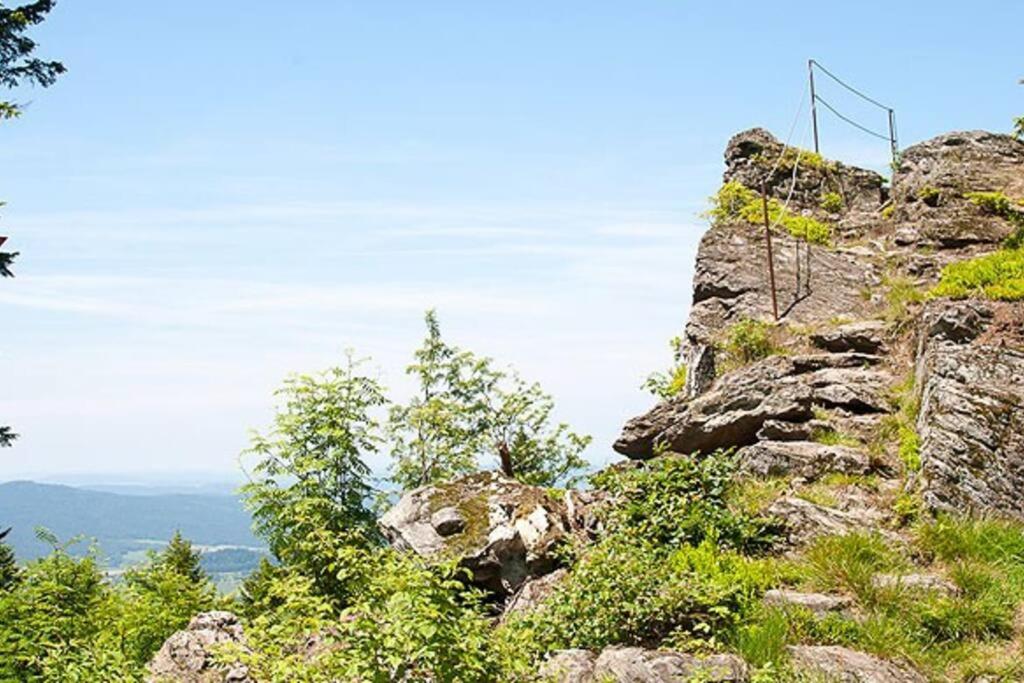Bayerwald Chalet Kaitersberg mit Sauna, Sonnenterrasse und Garten