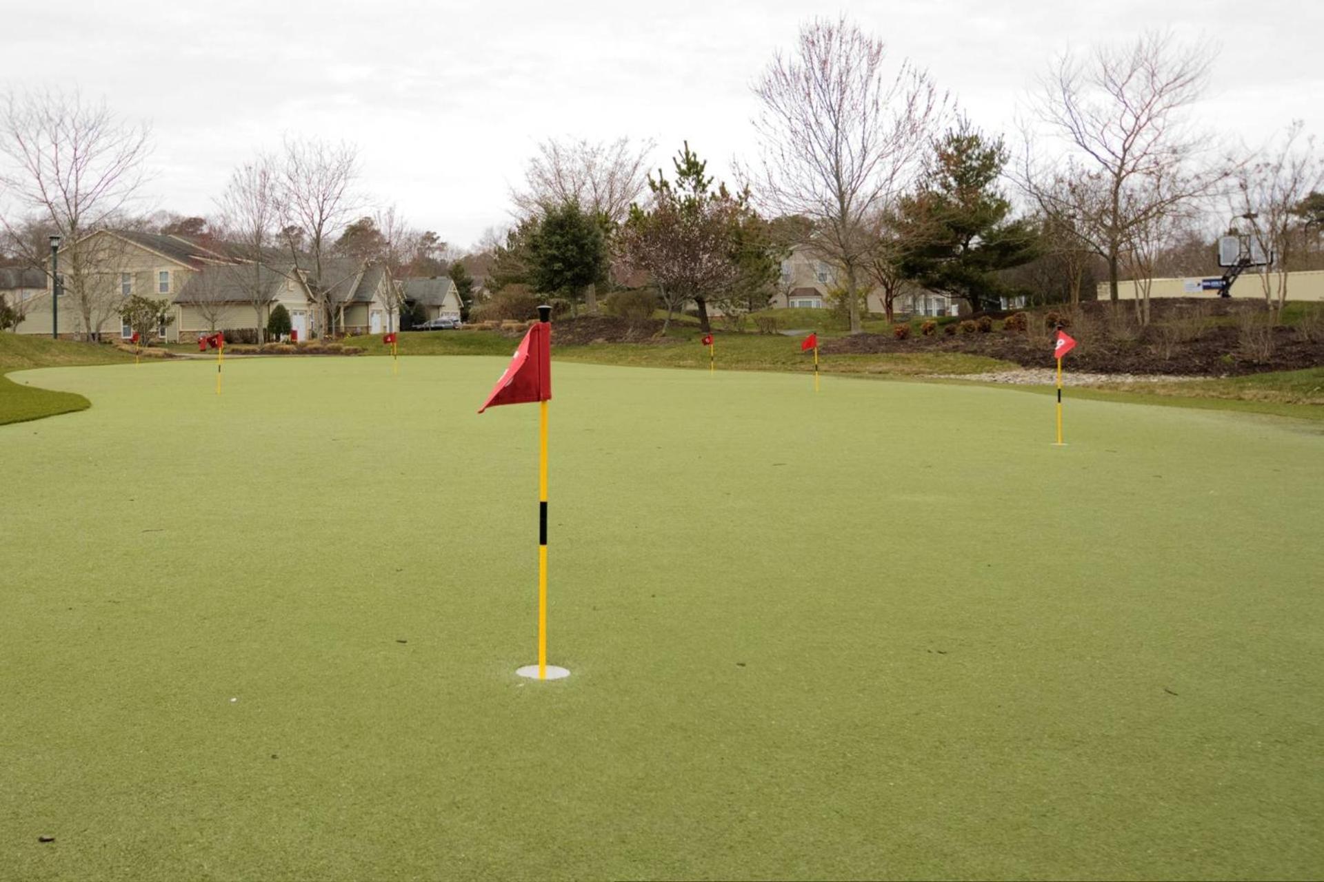 activities & amenities