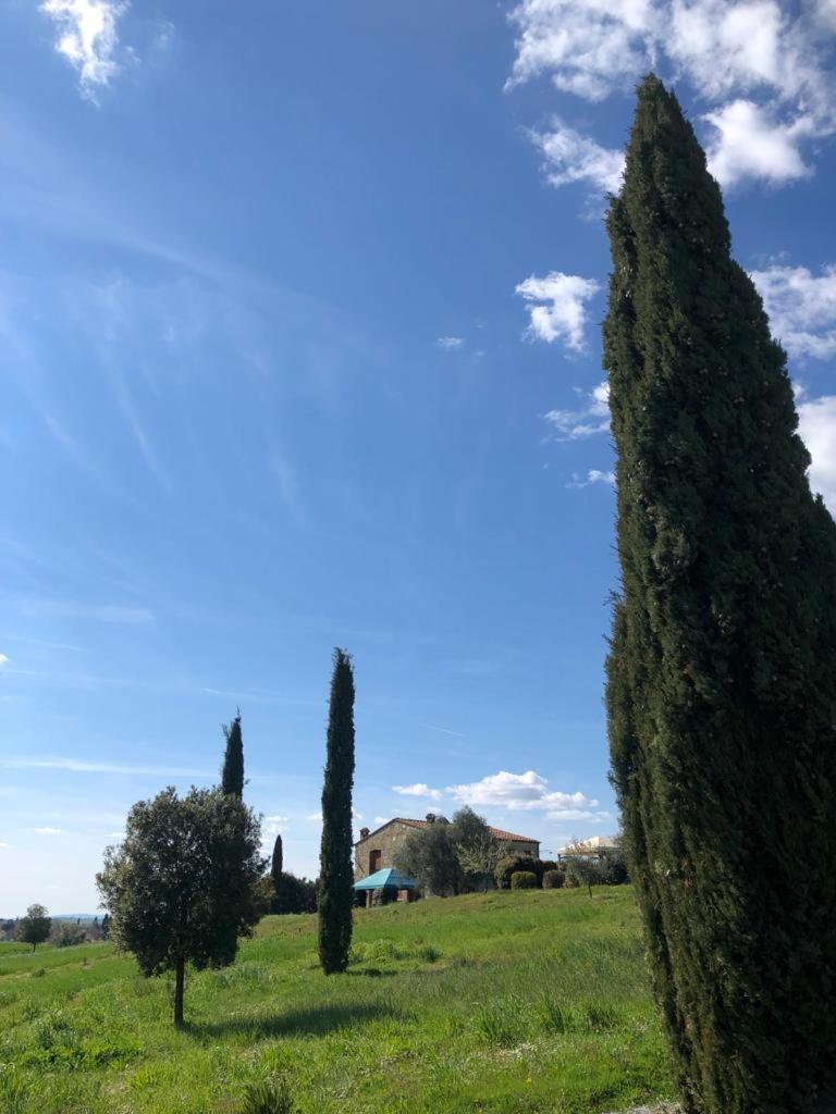 Photo 39