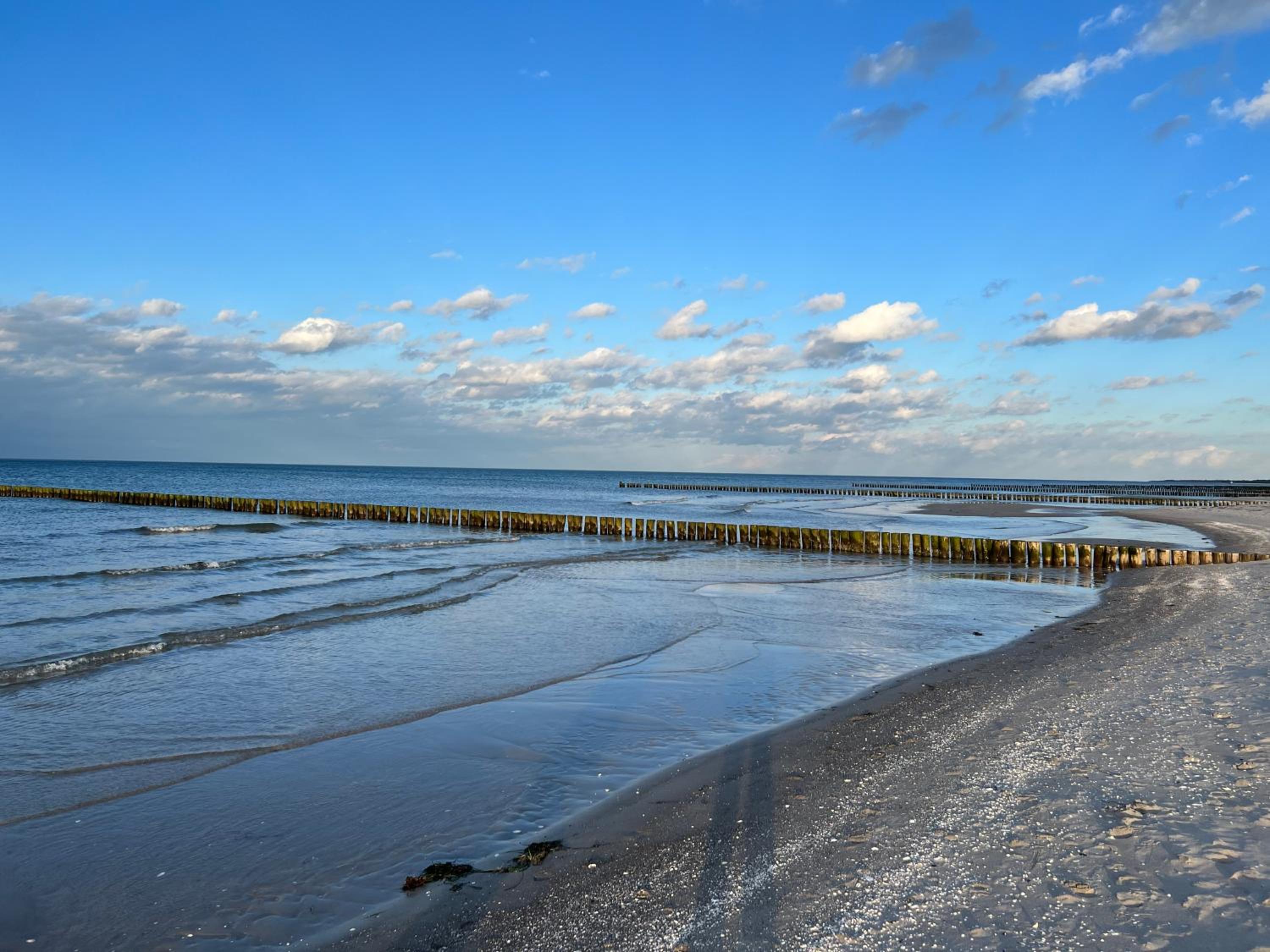 Austernfischer Prerow - Schönes Ferienhaus in Toplage mit großem Garten für Familie und Freunde